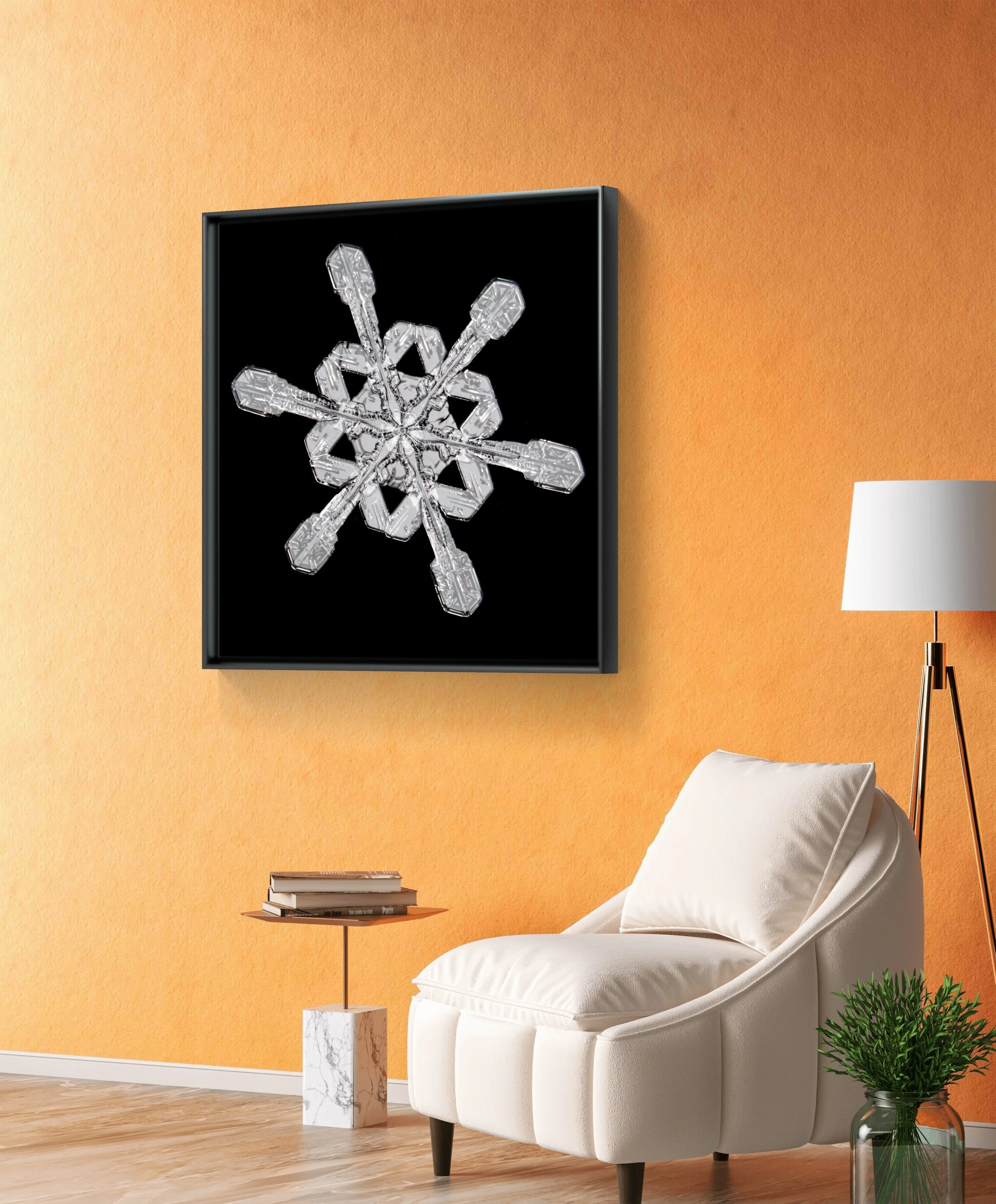 Fine art snowflake with clear, symmetrical geometry.