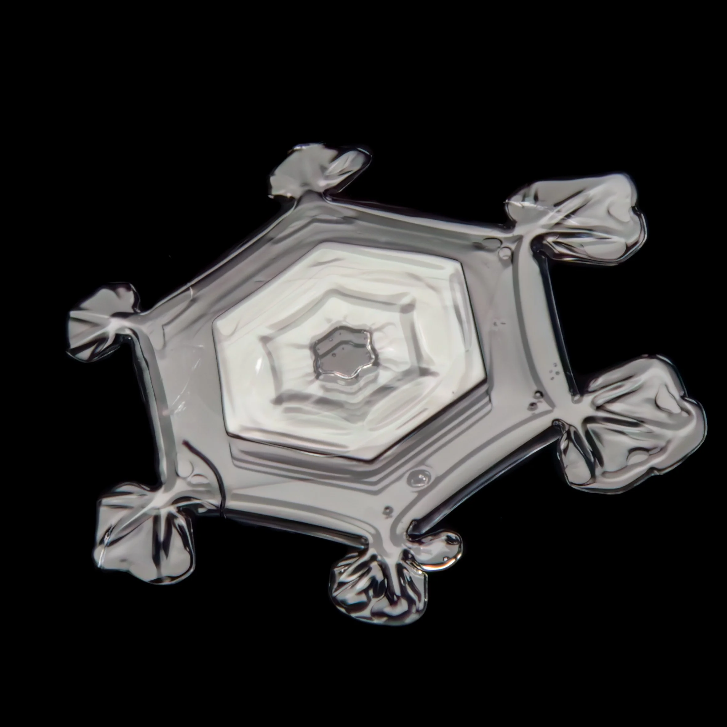 Macro photograph of a sectored plate snowflake with a hexagonal pattern in the center part.