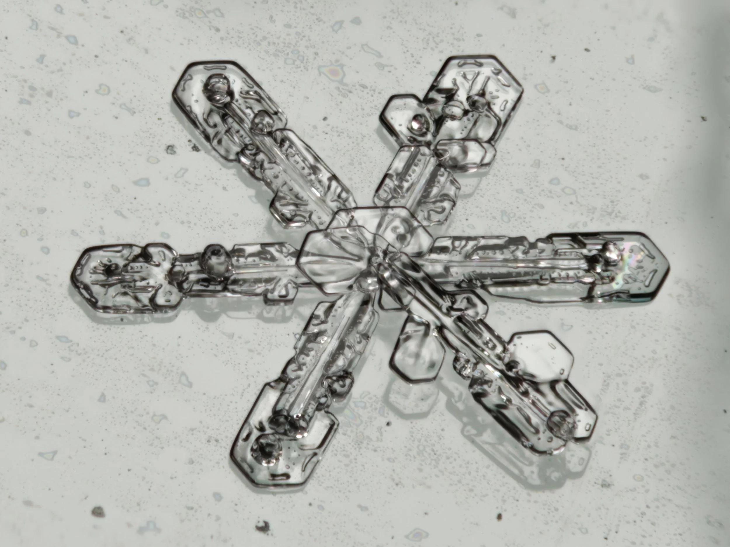 Macro photograph of a transparent, detailed fernlike stellar dendrite snowflake against glass with water particles.