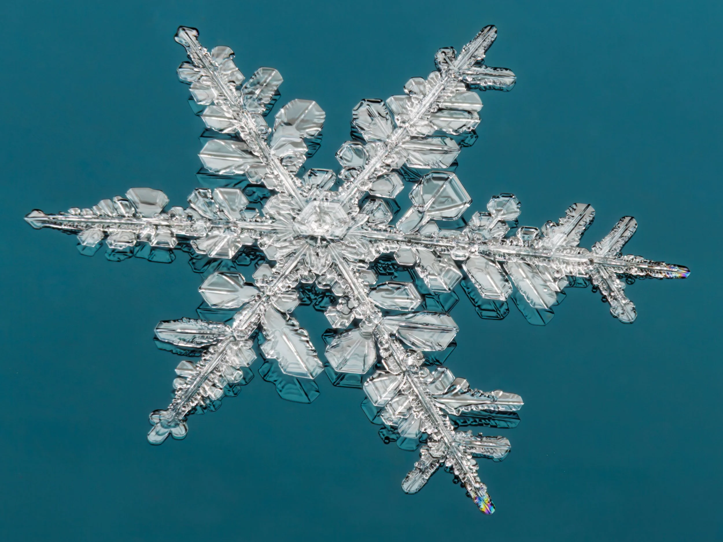 Macro photograph of a stellar dendrite snowflake with six branches, and longer than the others, against a colourful background.