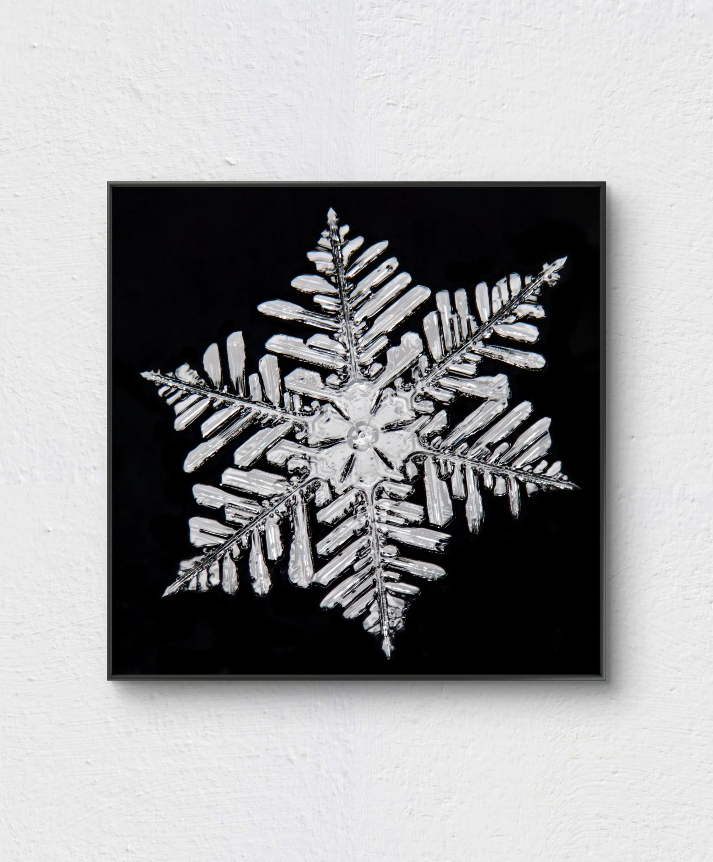 A framed art work of a silvery snowflake against a black background, hanged on a white wall.