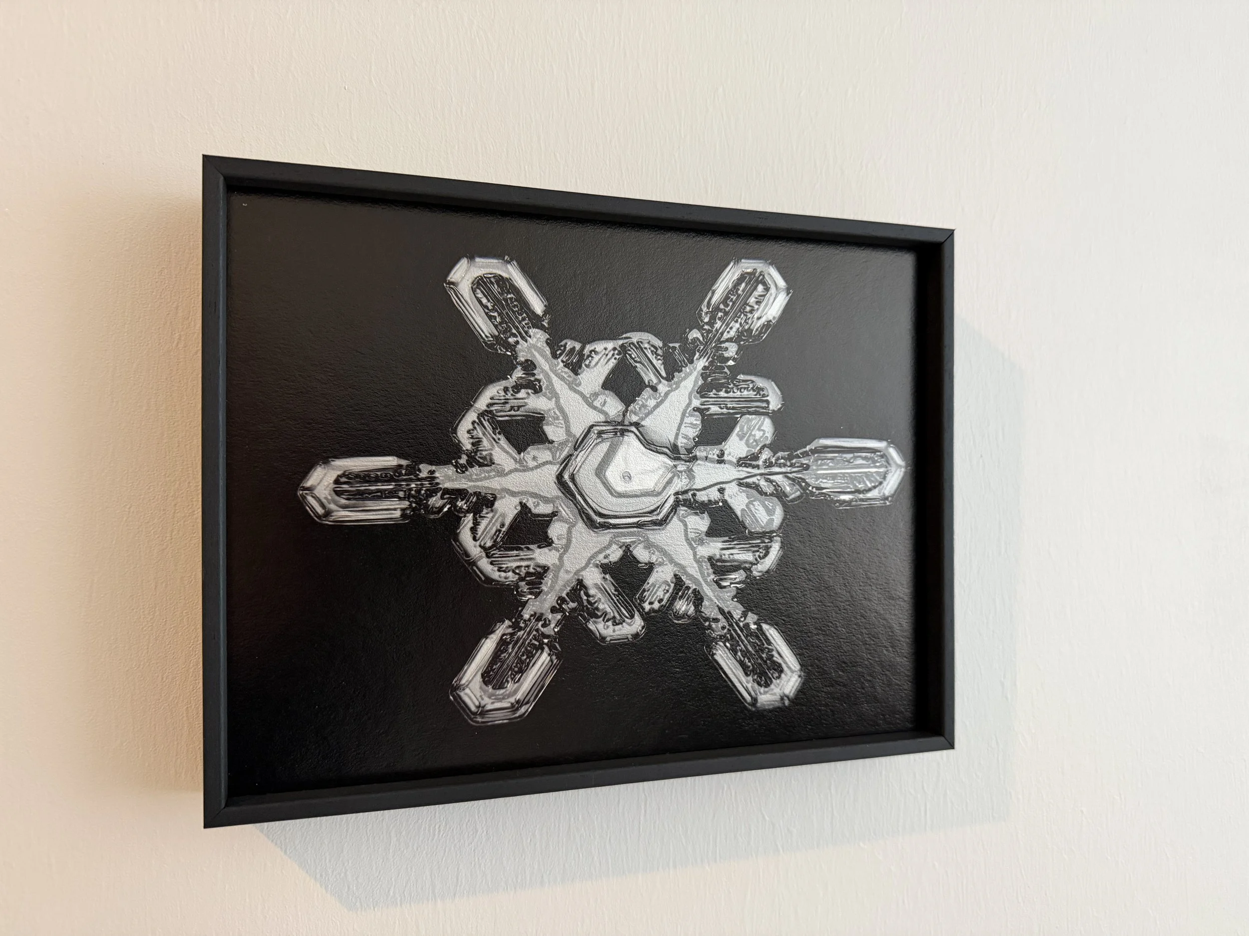A framed picture of symmetrical stellar dendrite snowflake on a wall.