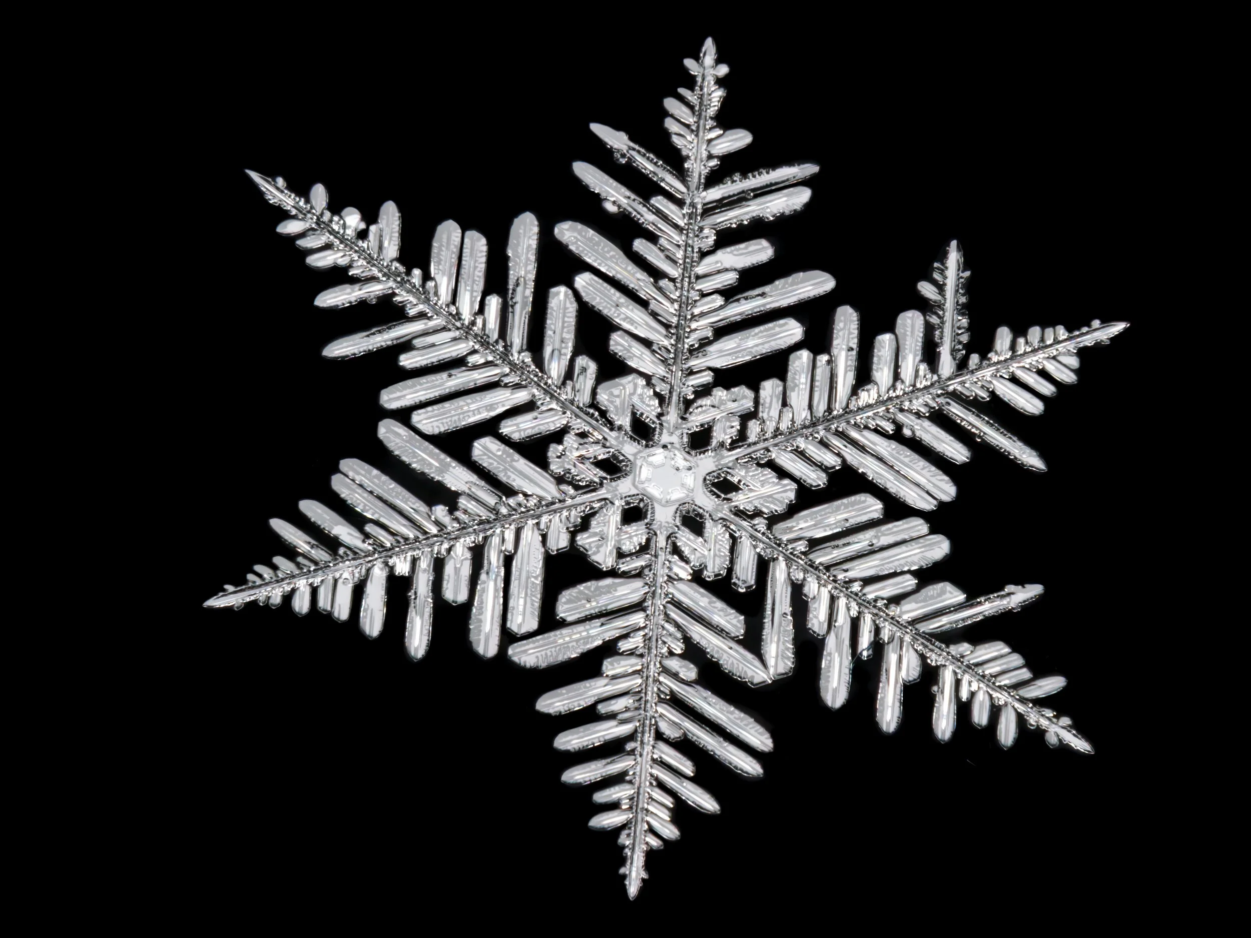 Macro photograph of a large, detailed fernlike stellar dendrite snowflake with a distinctive center structure.