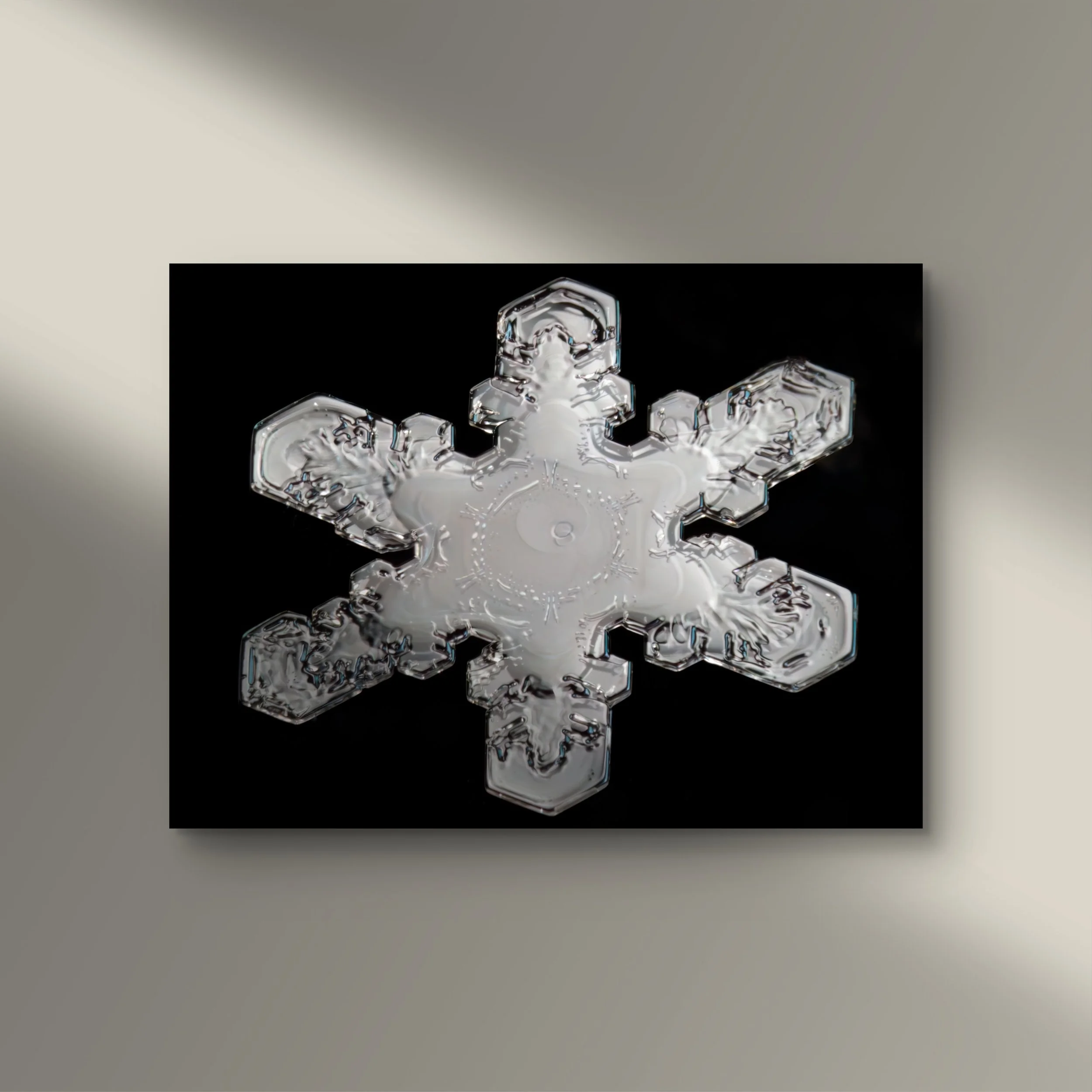 Close-up of a clear, detailed snowflake resting on a black background.