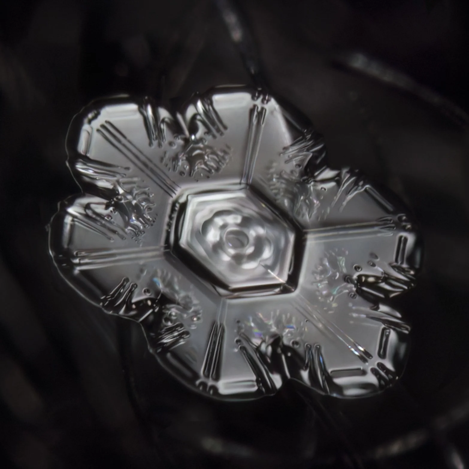 Macro photograph of a sectored plate snow crystal, with strong central hexagon.