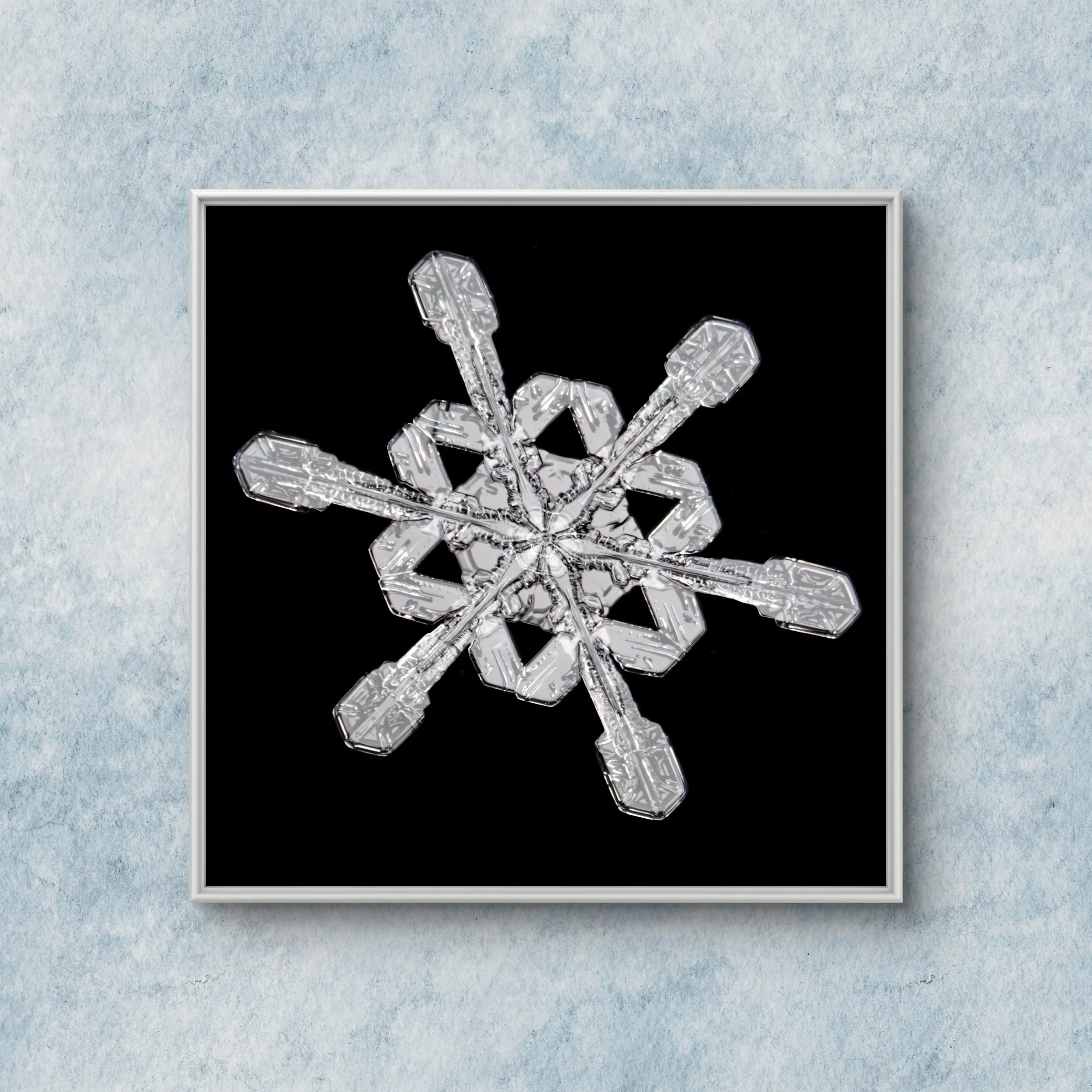 A fine art framed picture of a stellar dendrite snowflake on a wall.
