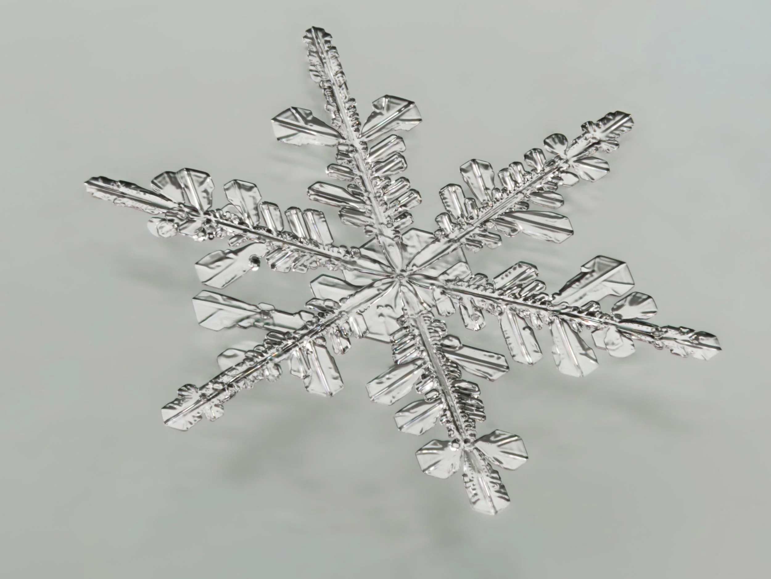 Macro photograph of a clear stellar dendrite snowflake on glass.