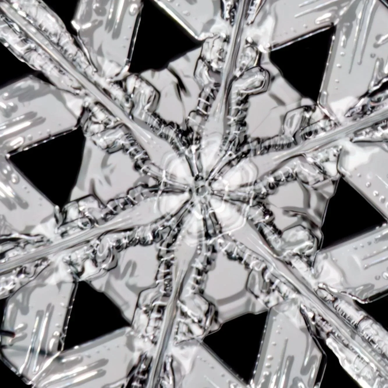 close-up of a symmetrical stellar dendrite snowflake