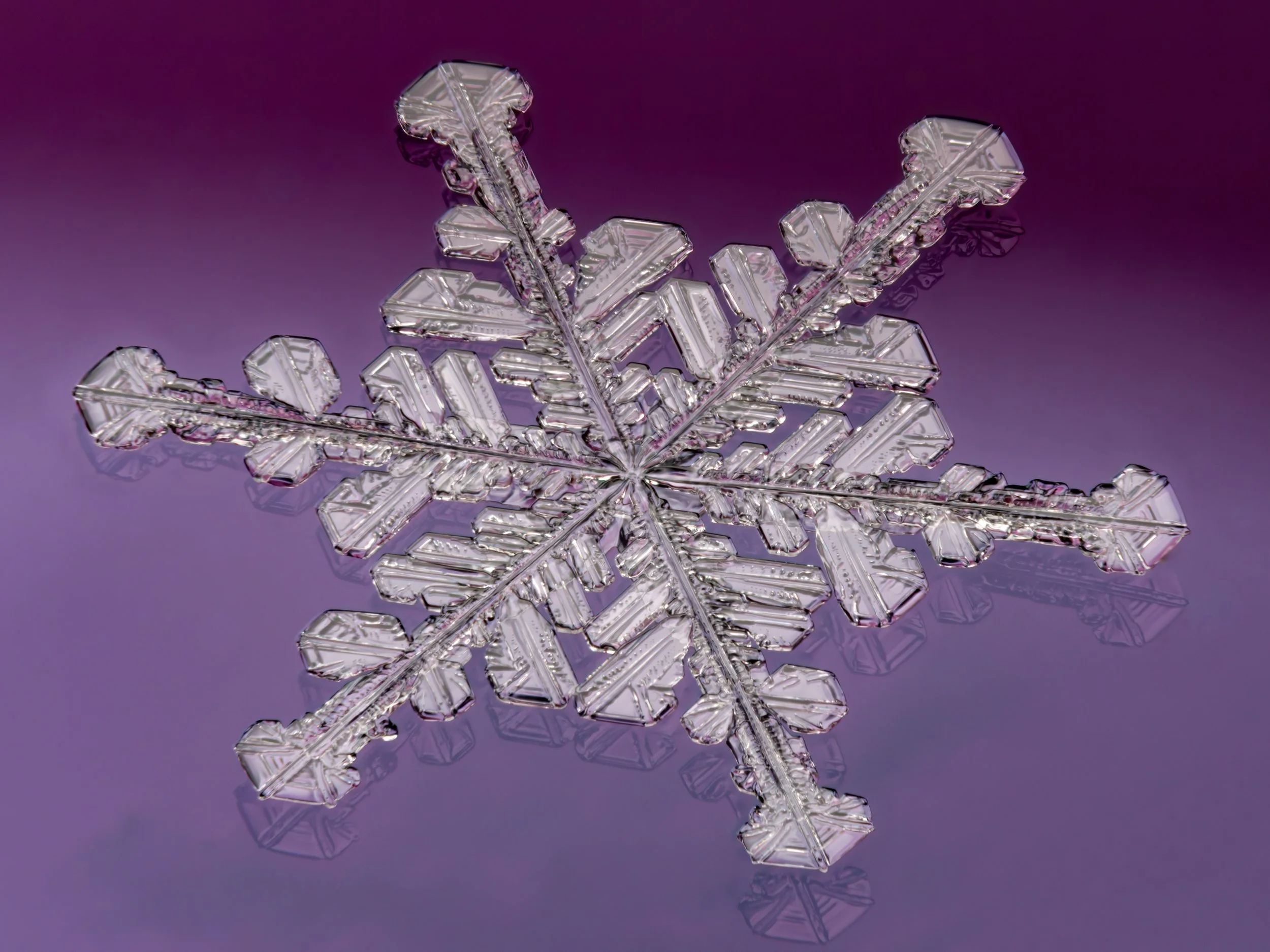 Macro photograph of a clear stellar dendrite snowflake on a colourful glass plate.