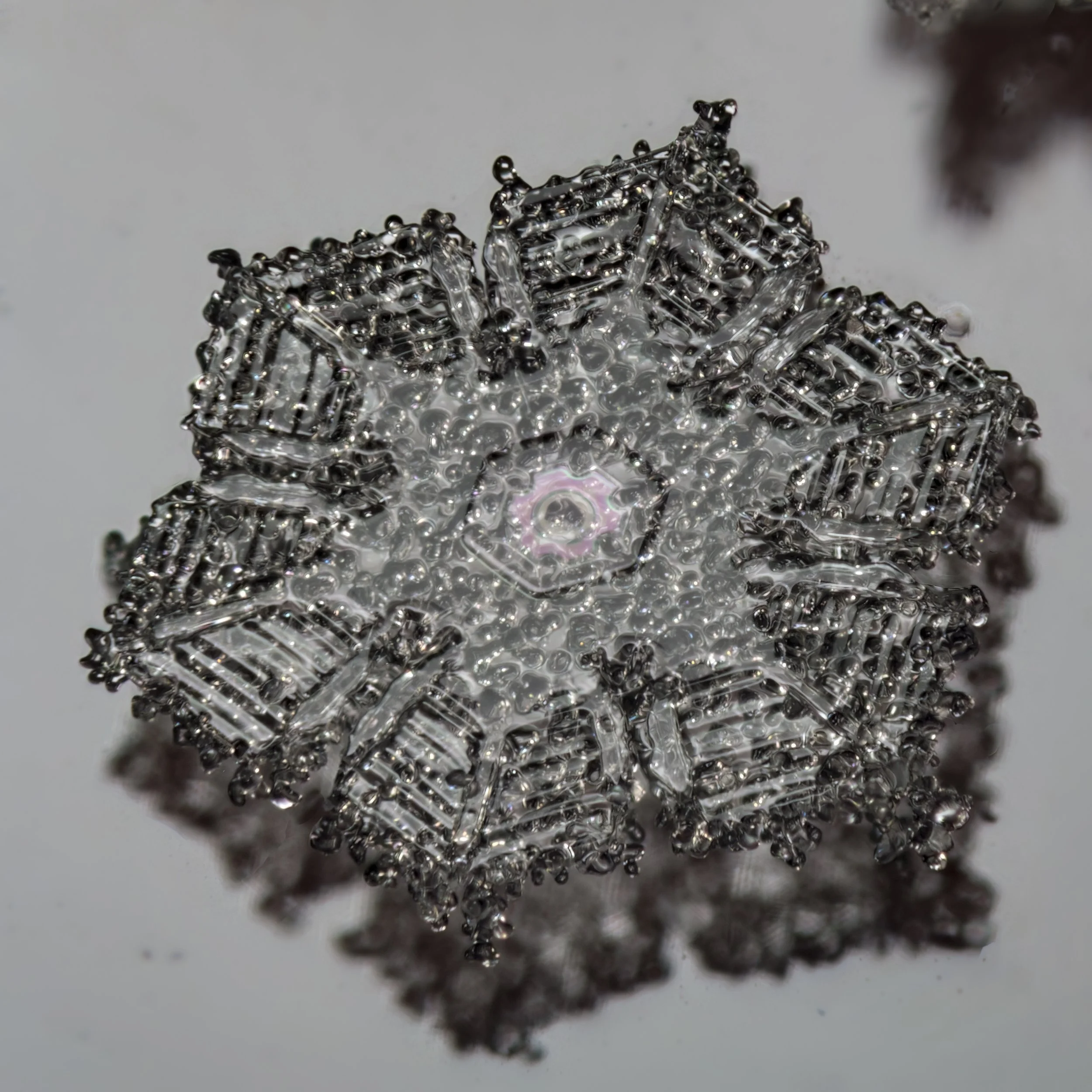 Macro photograph of a sectored plate snowflake with geometric patterns and crystal structures.