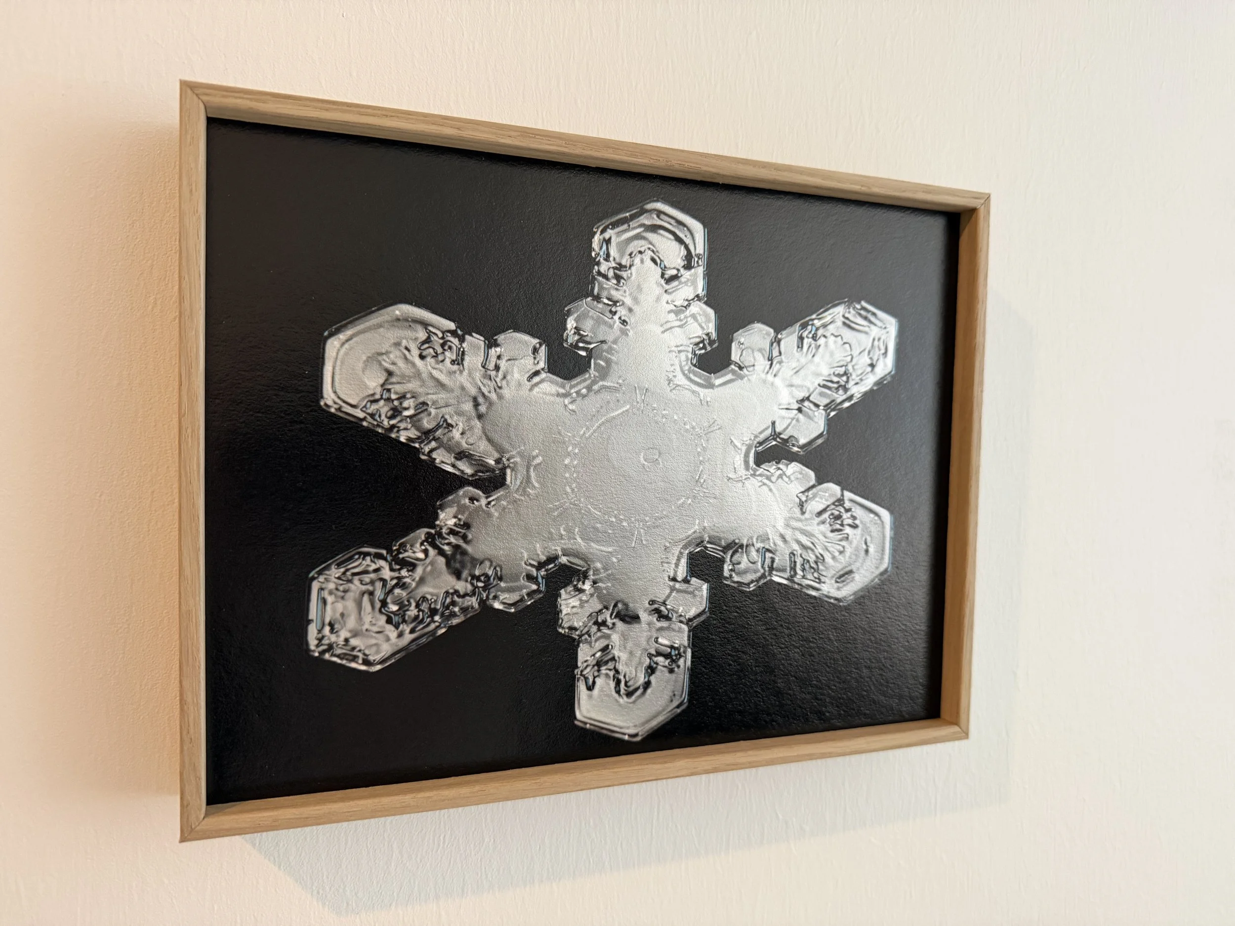 Highly detailed dendritic snowflake with sharp, symmetrical arms and bright reflective textures.