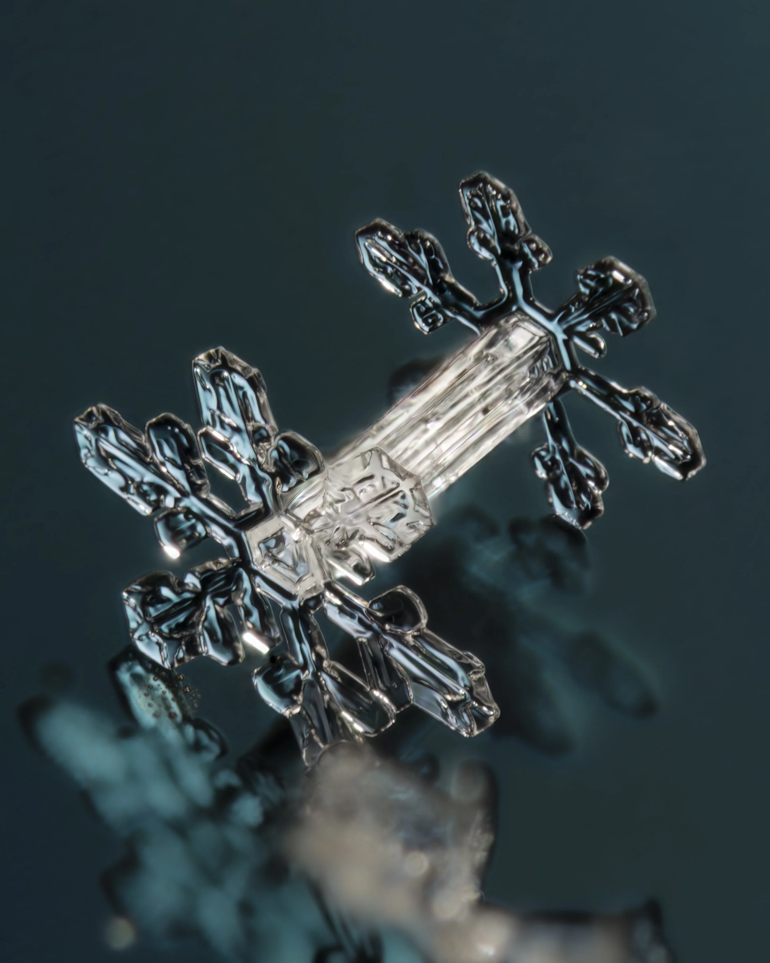 Macro photograph of a single capped column snowflake with six symmetrical branches, resting on glass.