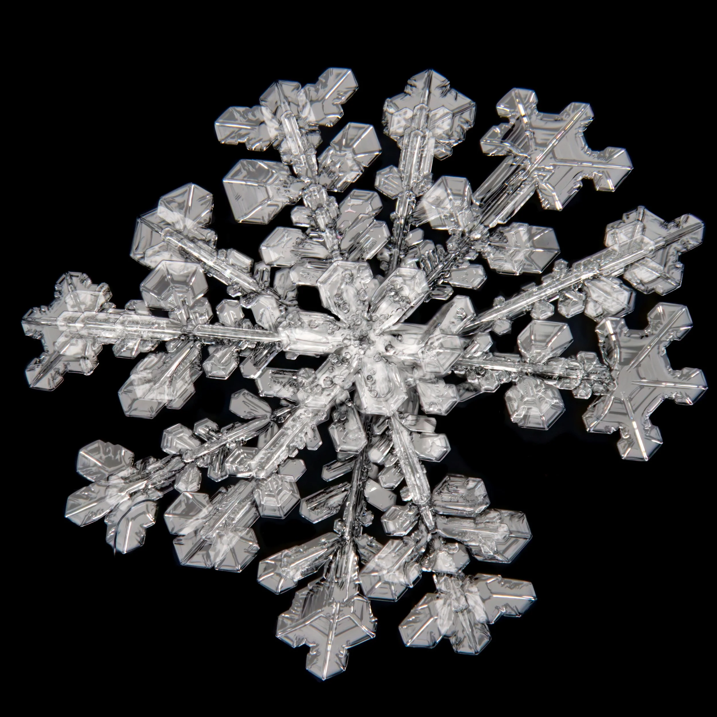 Macro photograph of a 12-sided snowflake with one arm missing.