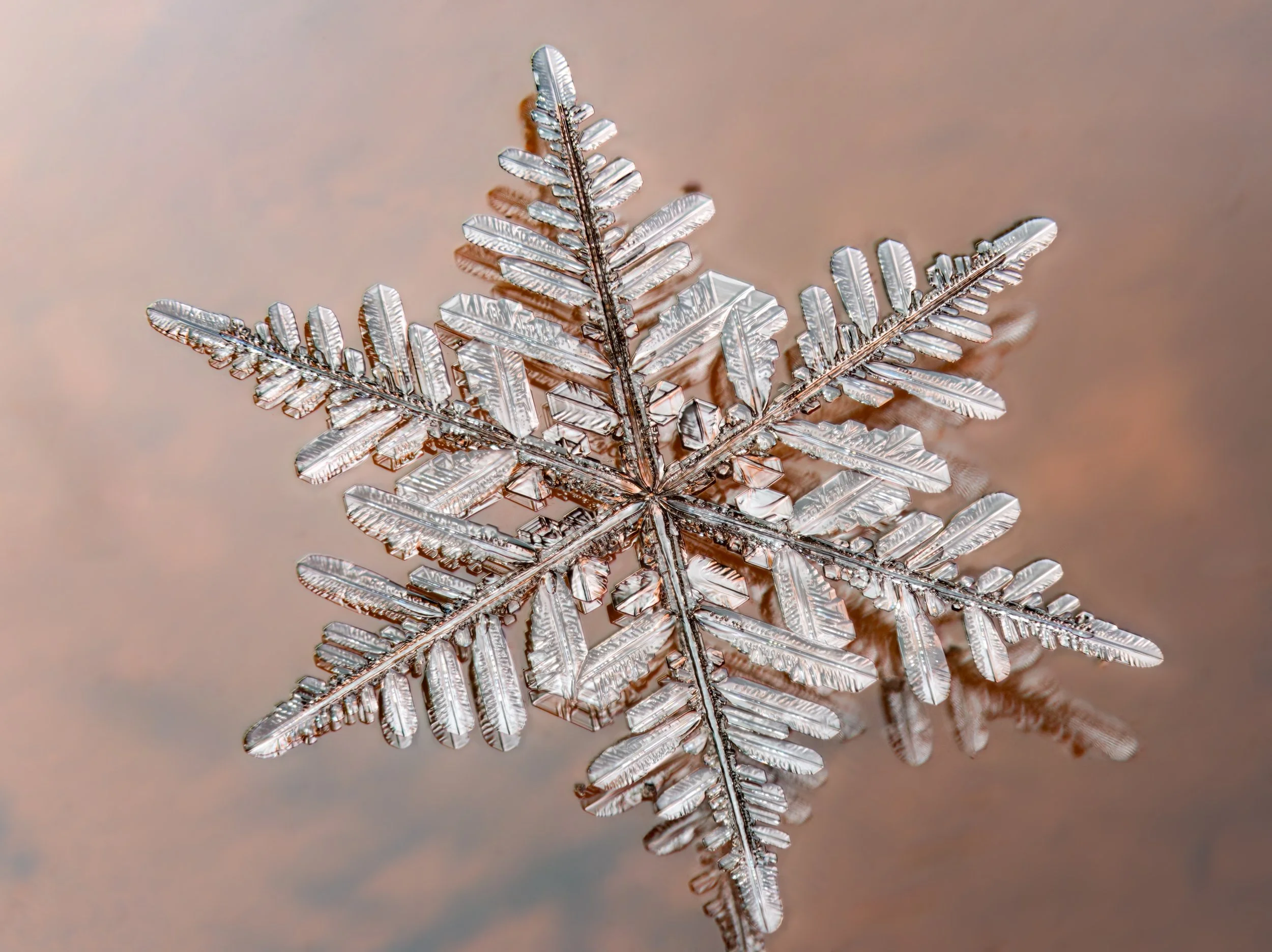 Close-up of a snowflake with detailed crystalline structure.