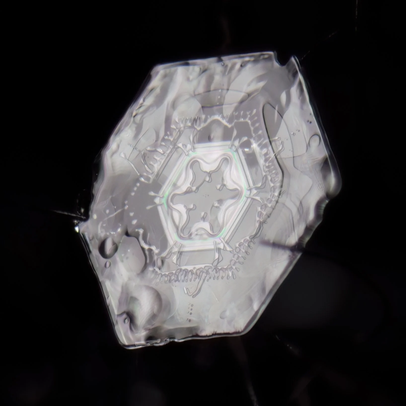 Macro photograph of a clear simple plate snowflake with a prismatic color refraction in the center part.