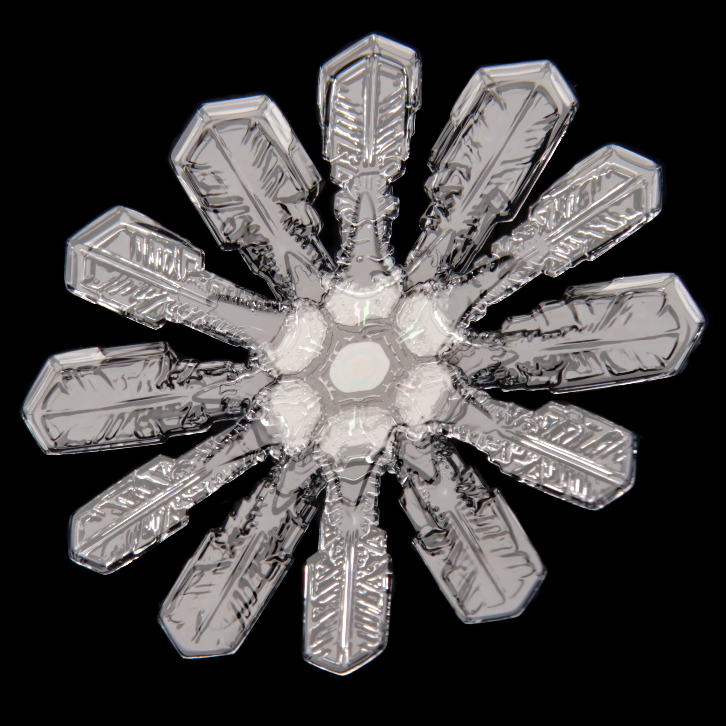 Macro photograph of a rare 12-branched snowflake  with special colourful patterns from thin film interference in the center, captured in Oulu, Finland.