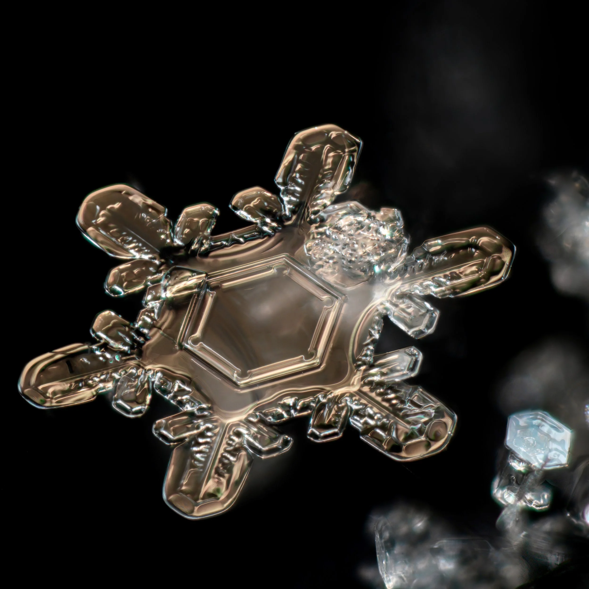 Macro photograph of a glassy snowflake with geometric center pattern in golden light.