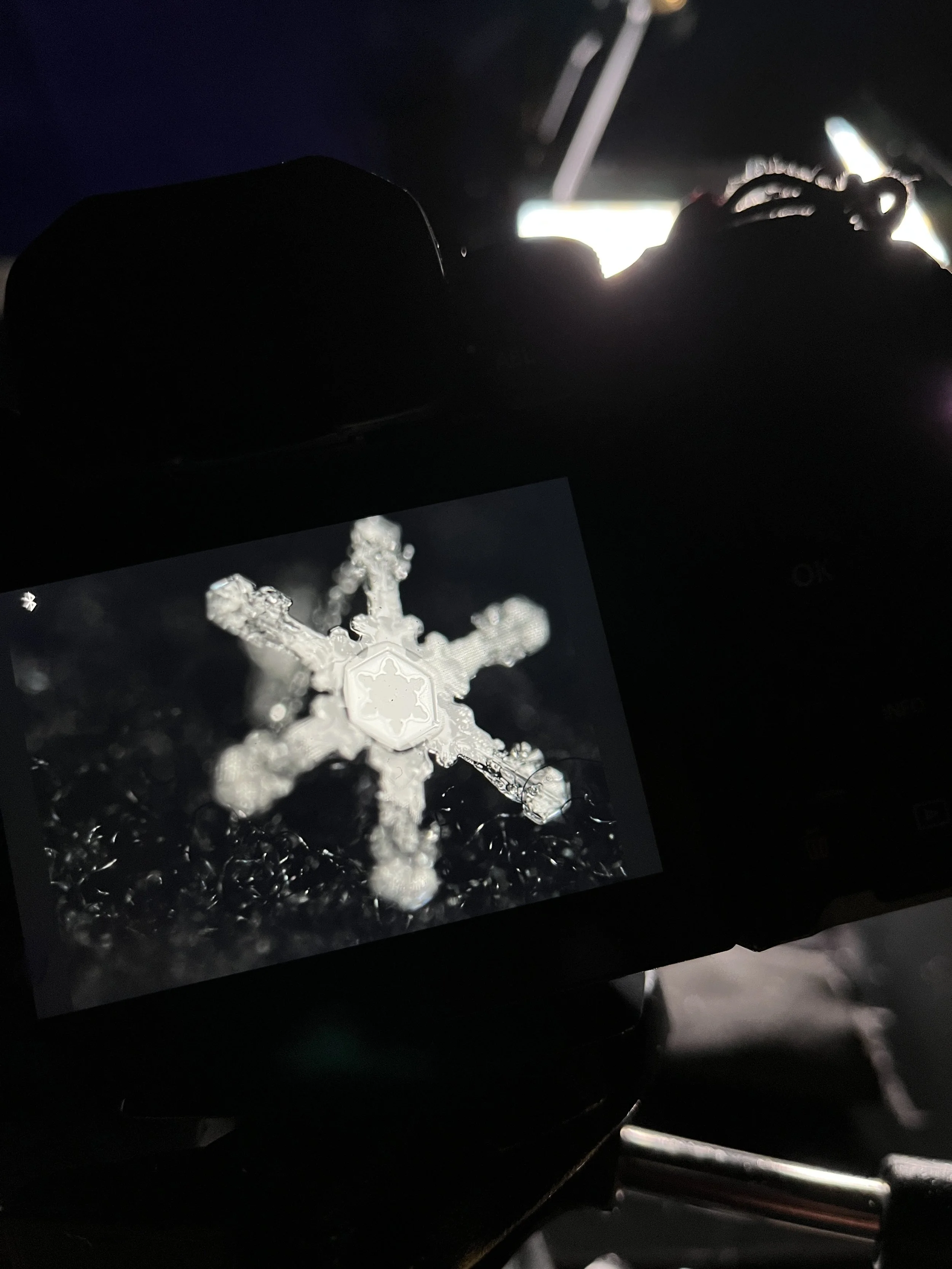 Close-up photo of a snowflake on a camera's LCD screen, with the actual snowflake outside the screen. The background is dark with some bright lights.