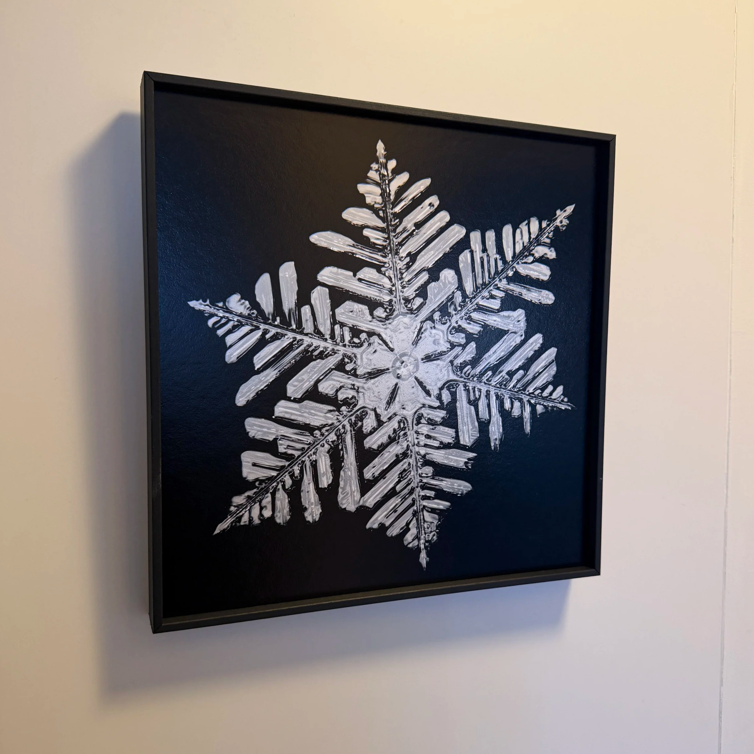 Highly detailed snowflake with complex dendritic patterns displayed against a dark background.