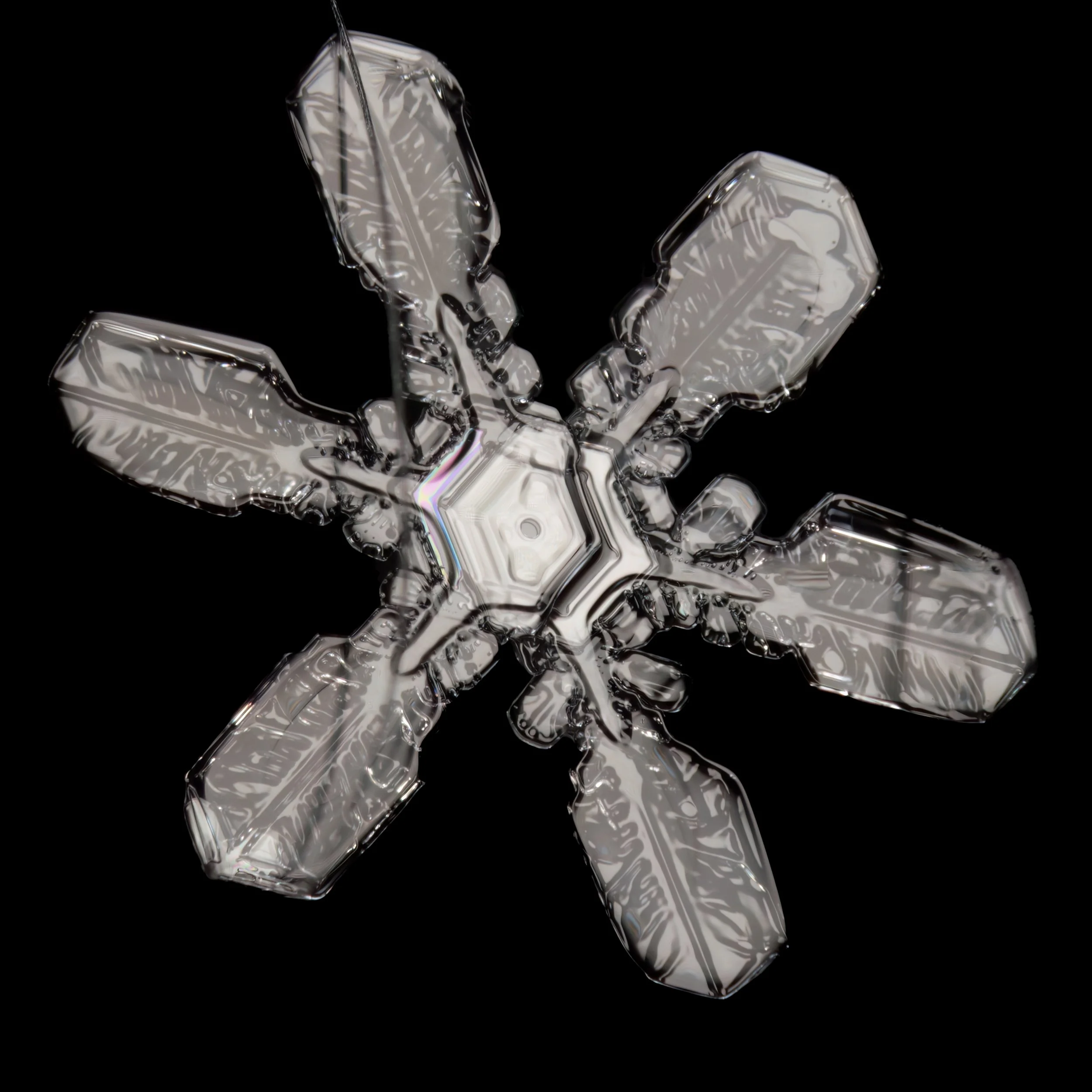 Macro photograph of a detailed, symmetrical snowflake with six branches.