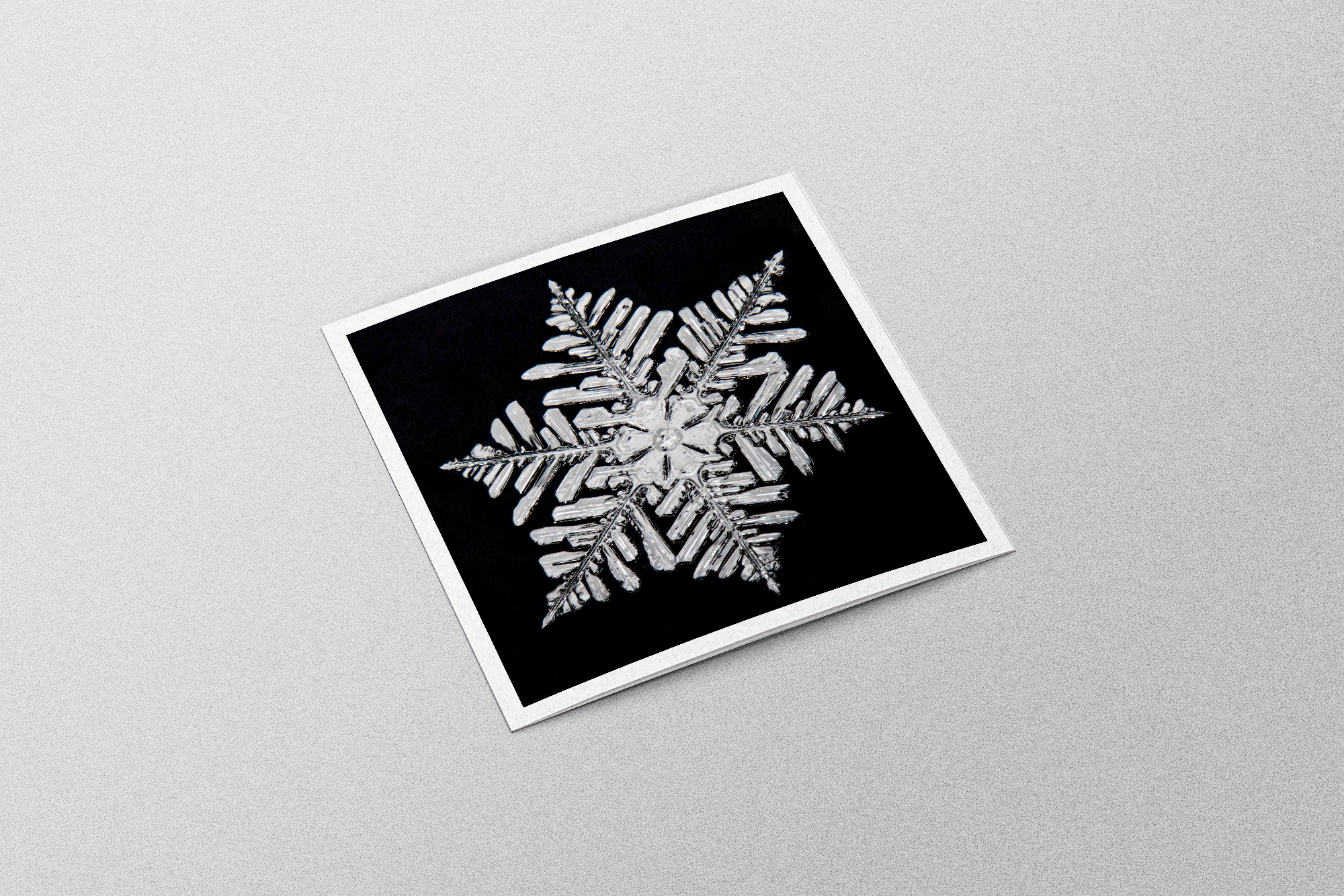 Kimmo Malm print mockup fern.png