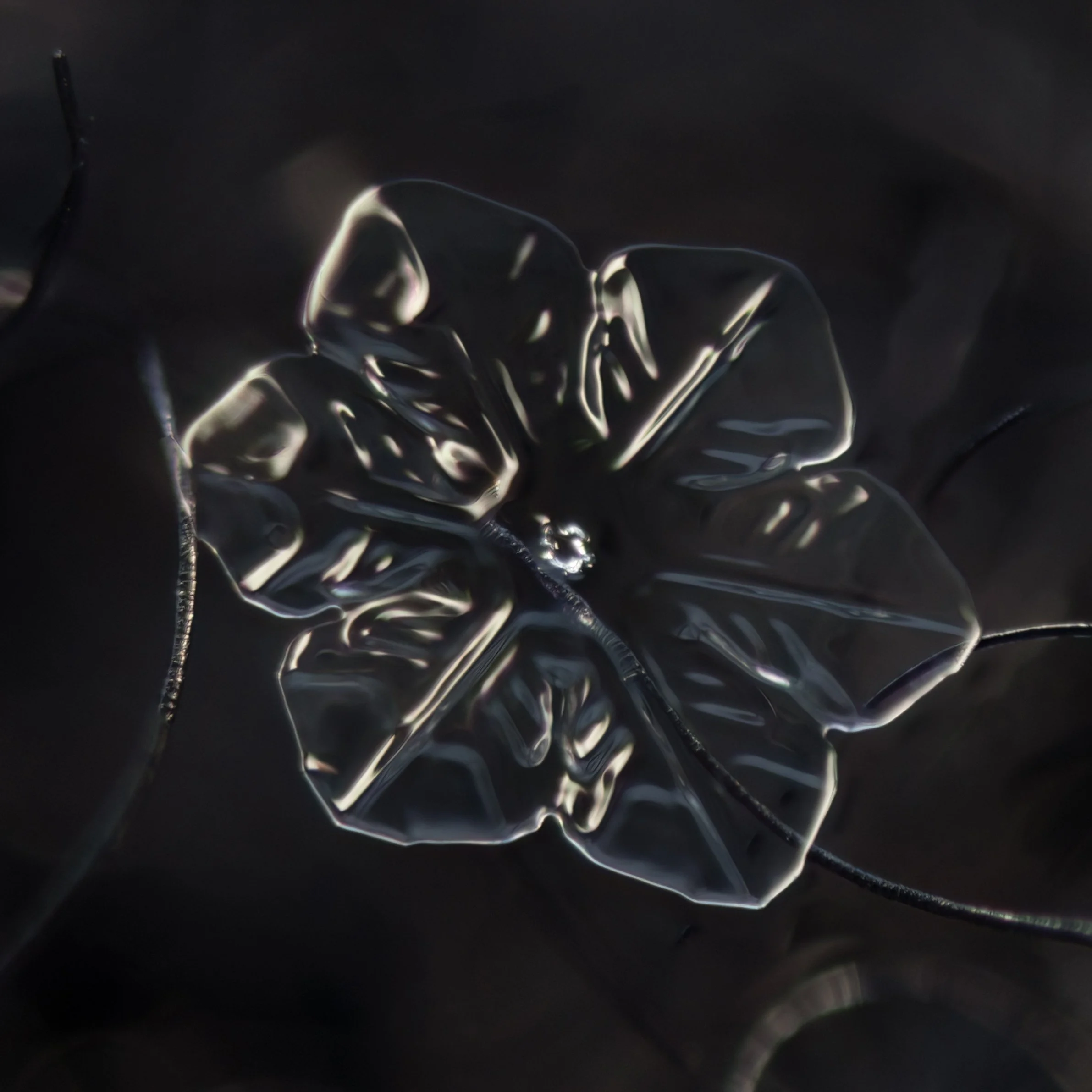 Macro photograph of a transparent, intricately flower-shaped snowflake with multiple petals.