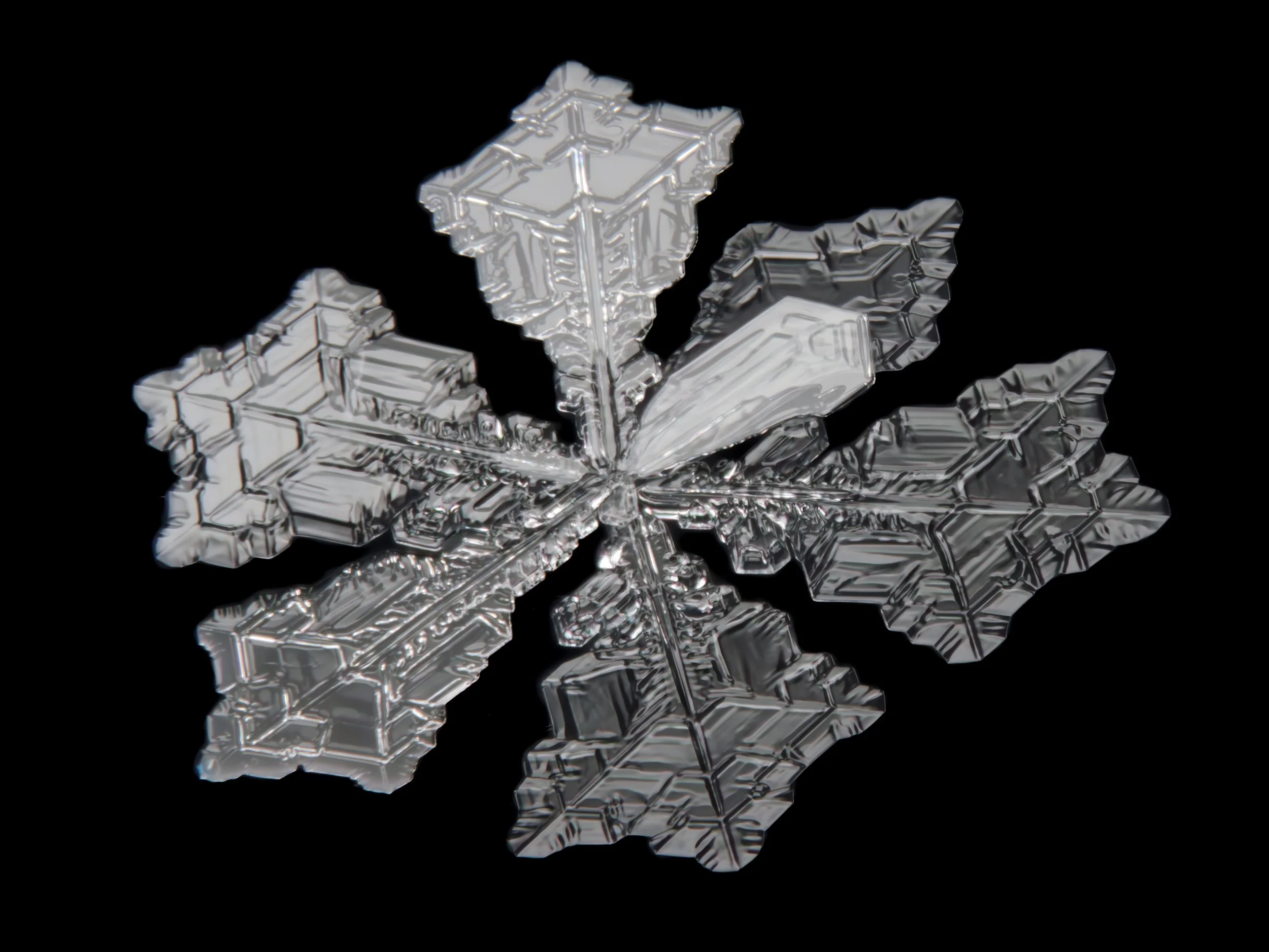 Macro photograph of a detailed, translucent snowflake.