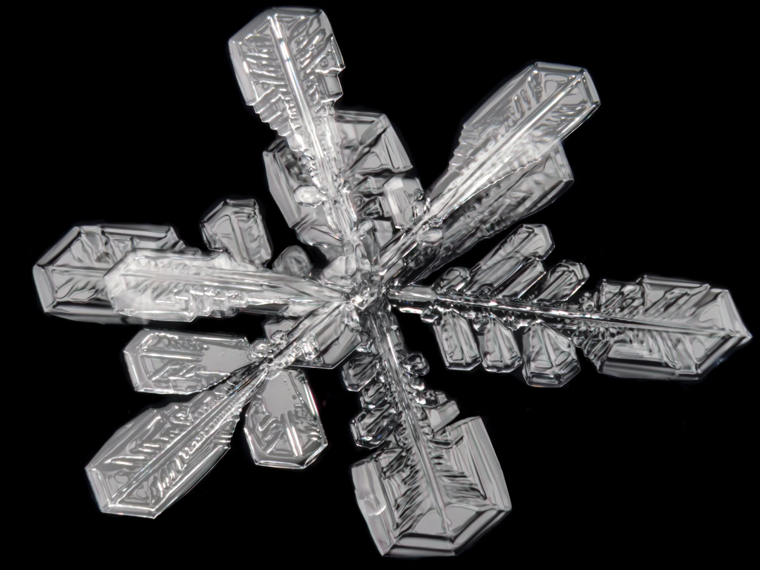 Macro photograph of an irregular shaped stellar dendrite snowflake.