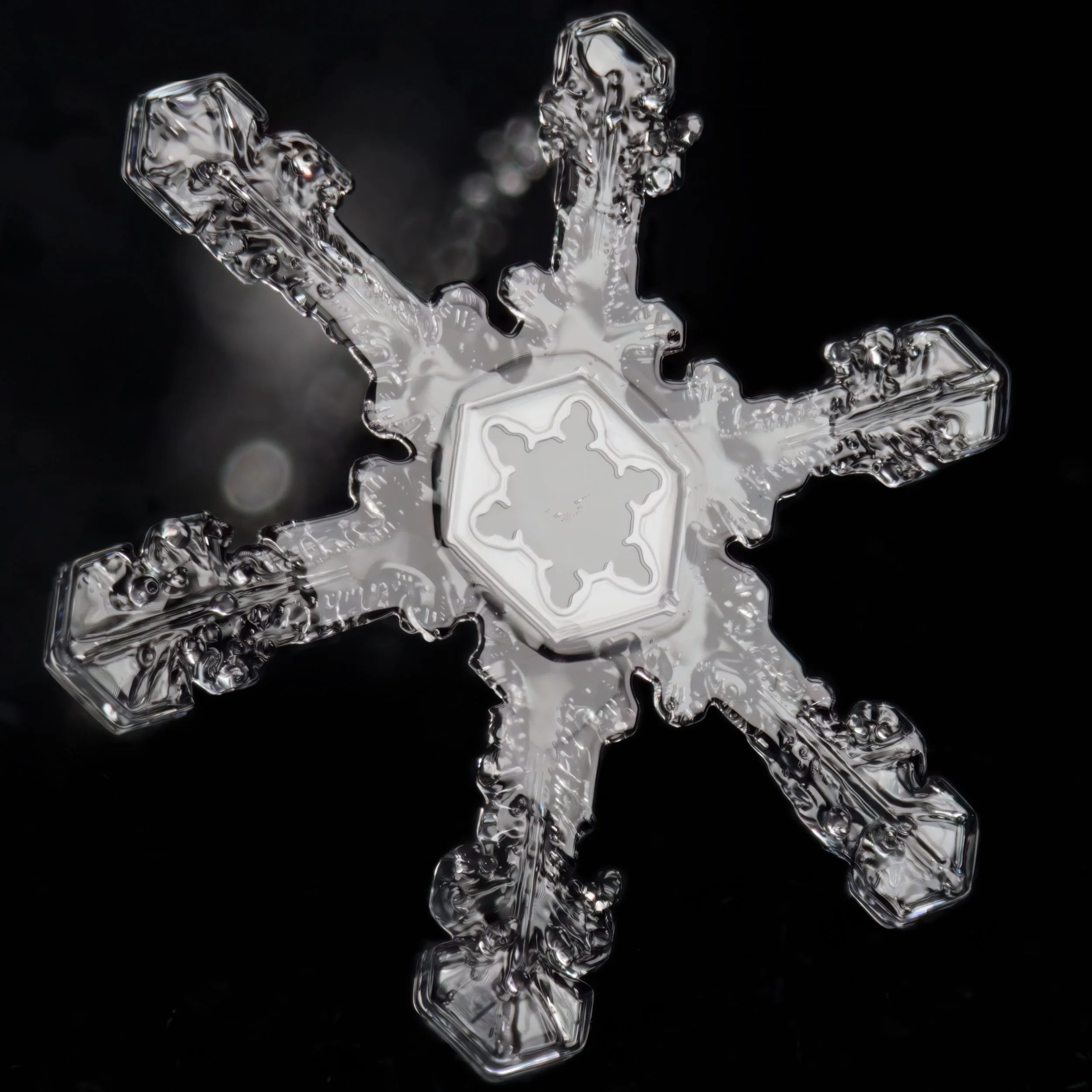 Macro photograph of an exceptionally detailed stellar dendrite snowflake.