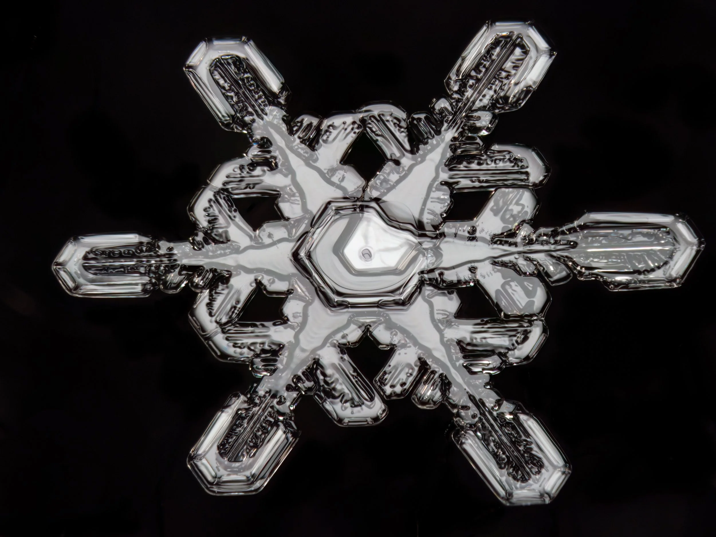 Macro photograph of a stellar dendrite snowflake showing intricate crystal patterns.