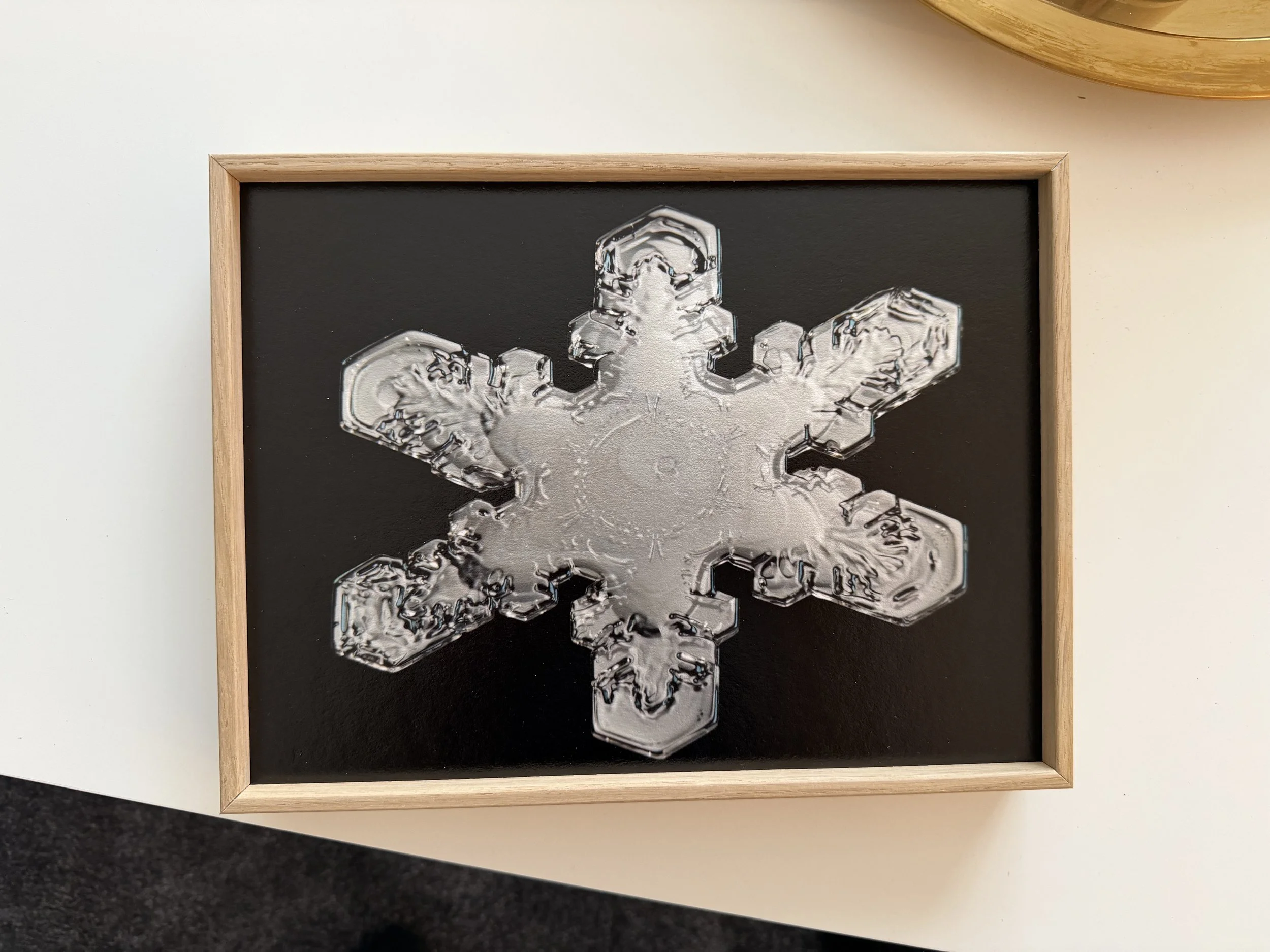 A sculpted dendrite snowflake shimmering with arctic silver tones against the dark.