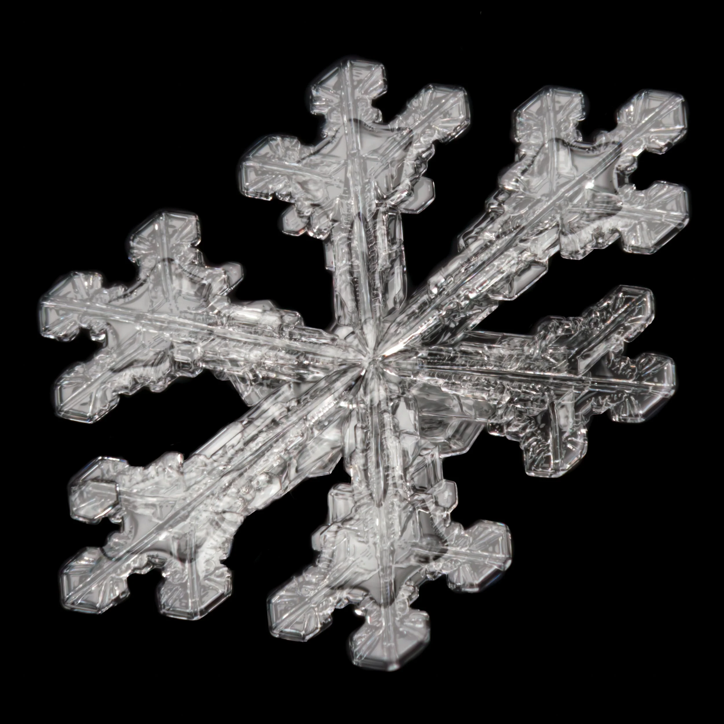 Macro photograph of a clear, detailed stellar dendrite snowflake against a black background.