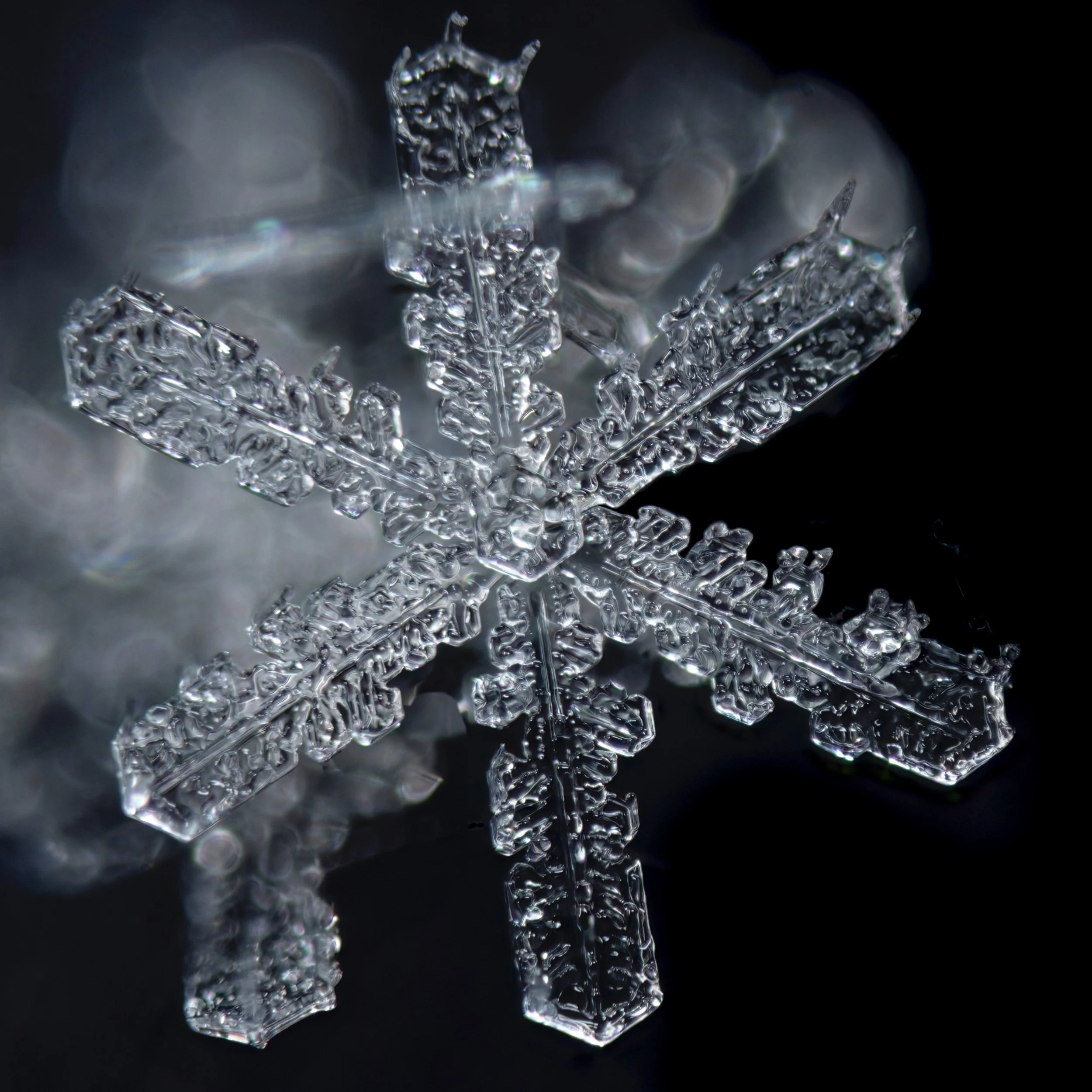 Macro photograph of a clear stellar dendrite snowflake with long branches.