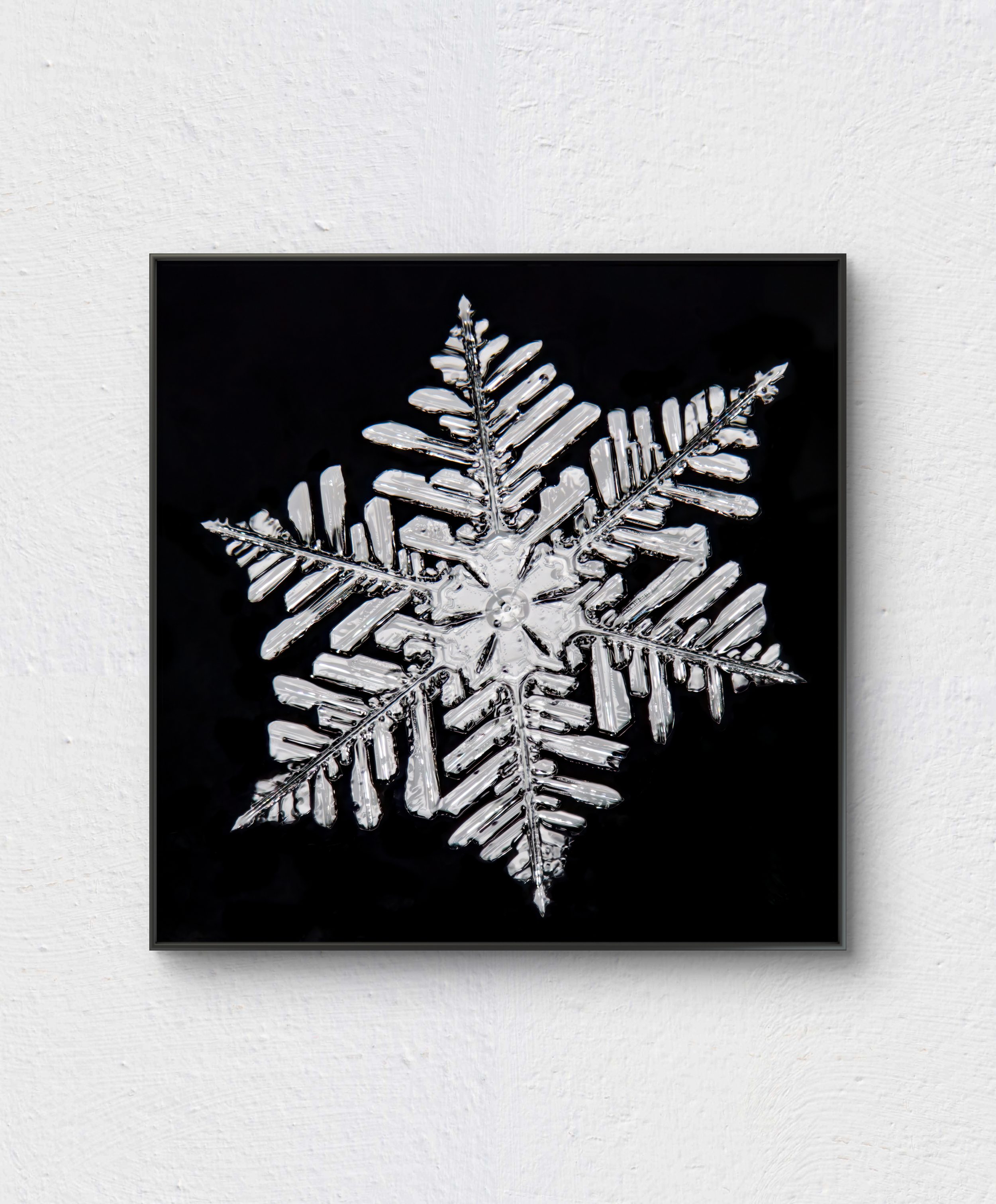 Kimmo Malm frame fern.png