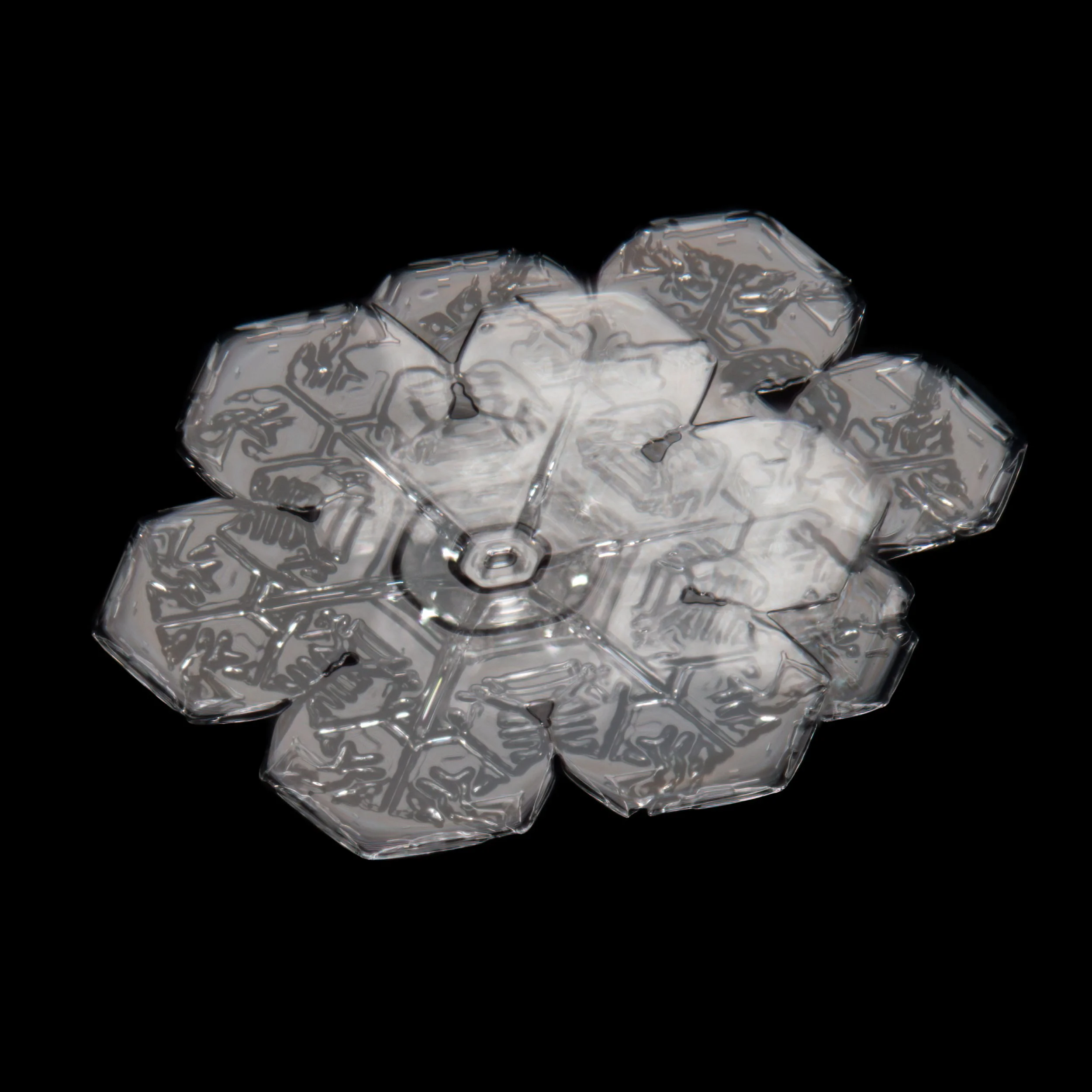 Macro photograph of twin snow crystals shaped like flowers.