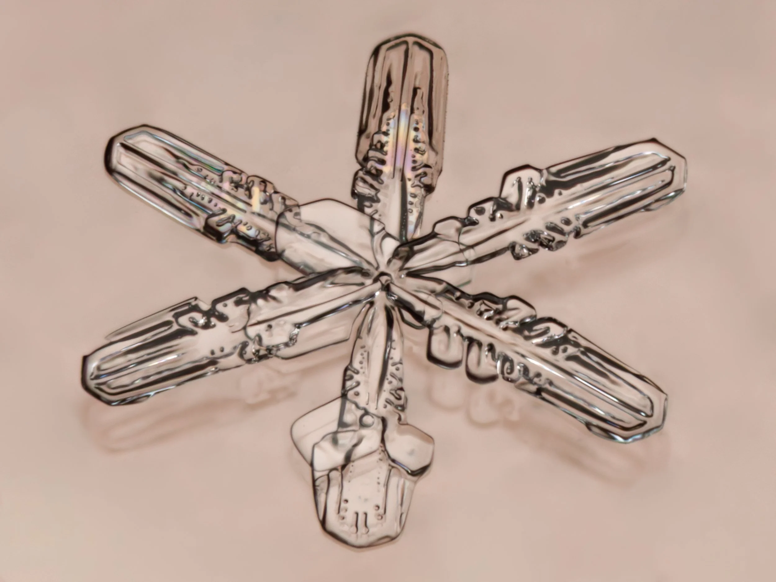 Macro photograph of a transparent, detailed fernlike stellar dendrite snowflake against an orange glass.