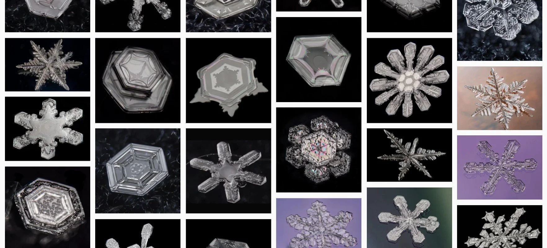 A collection of macro photographs of different shaped snow crystals.