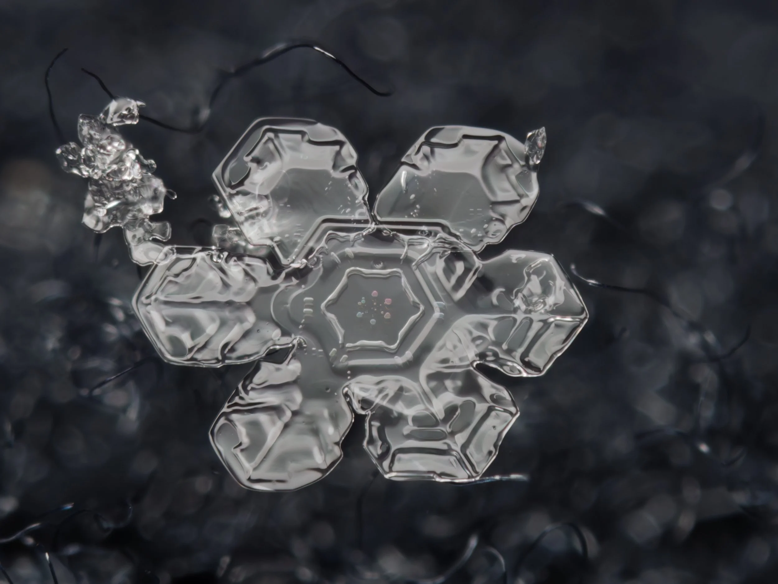 Macro photograph of a single snowflake with intricate hexagonal pattern and colours from thin film interference.