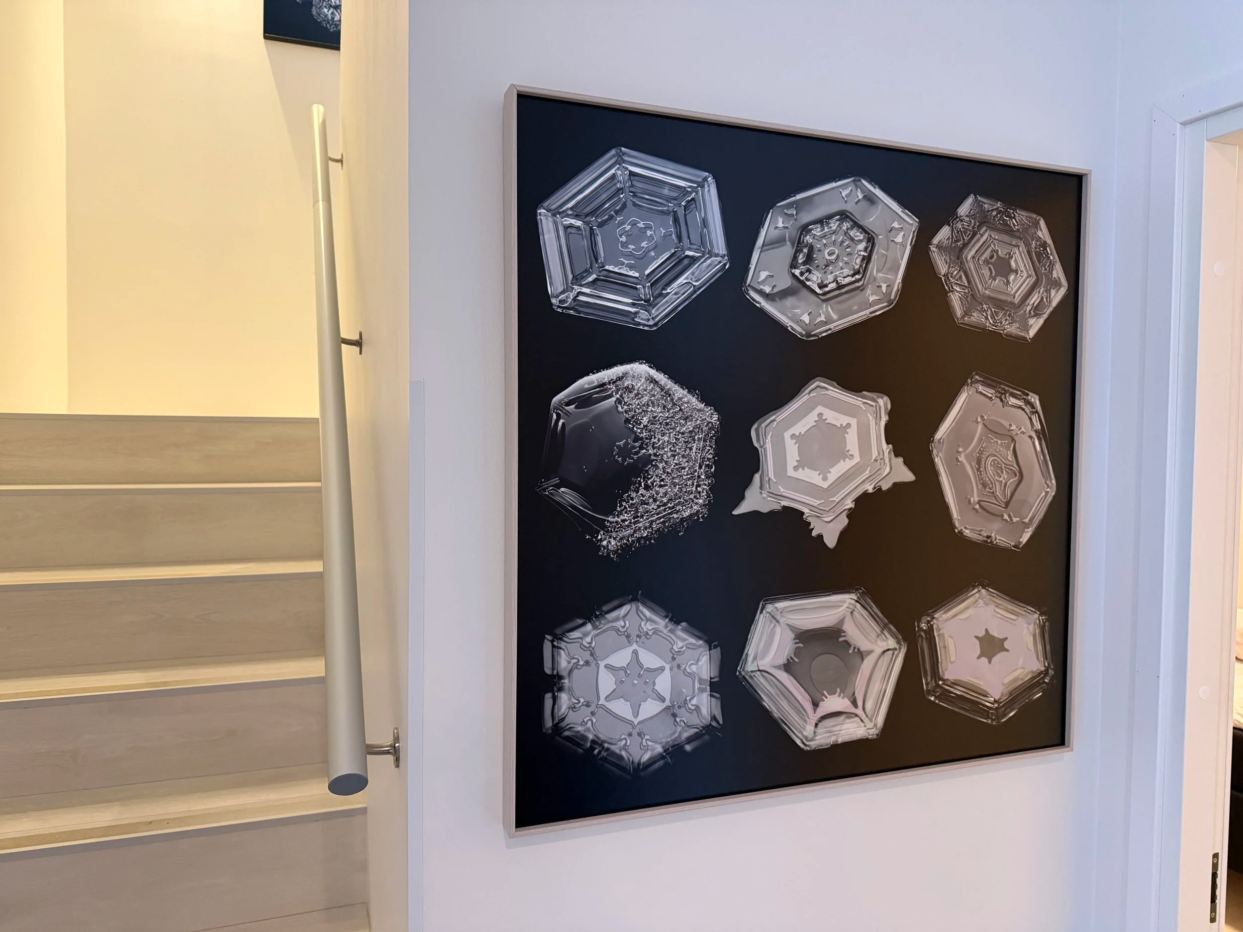 Nine distinct snowflakes presented in a grid layout, highlighting variations in symmetry and crystal structure.