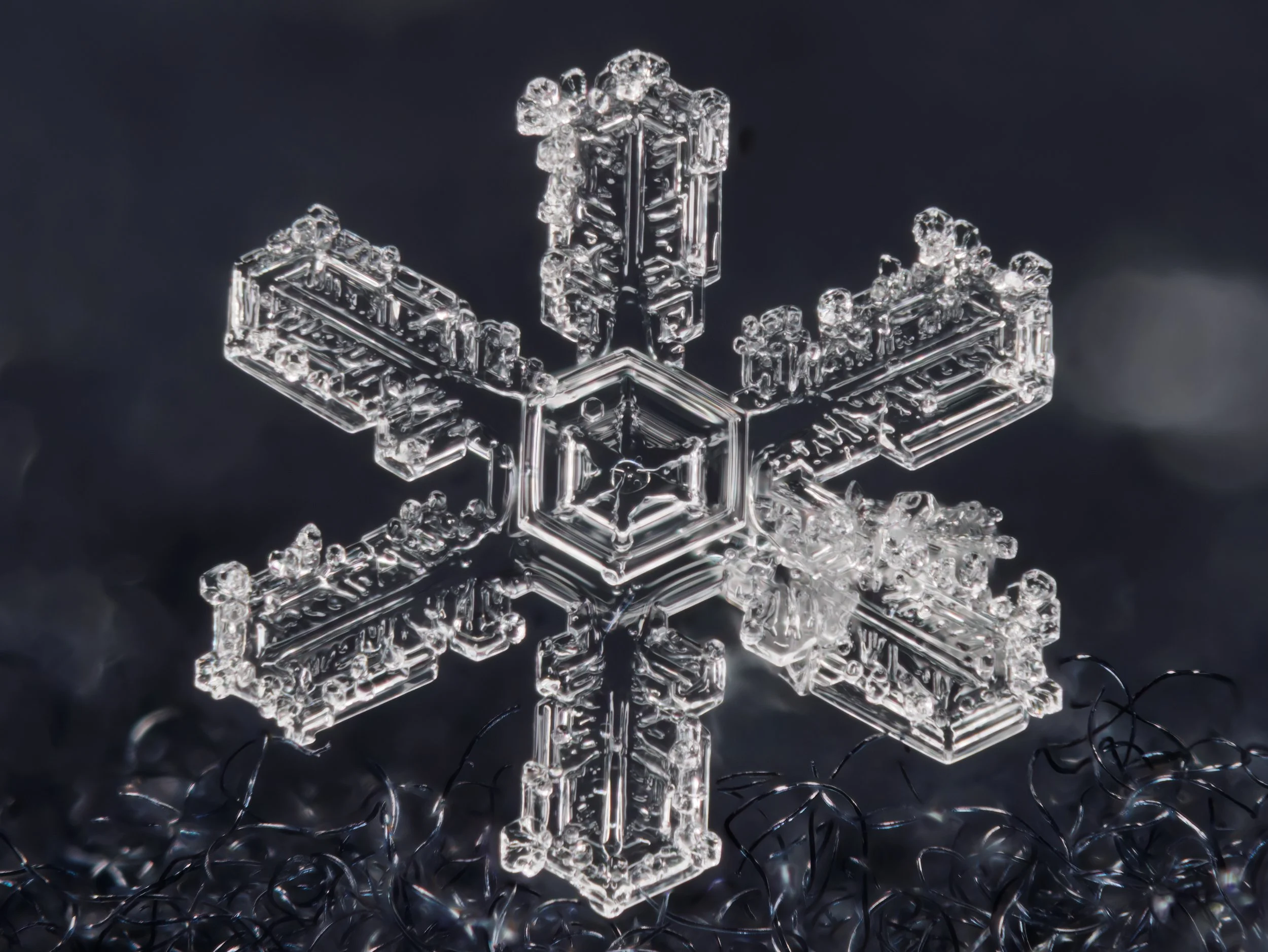 Macro photograph of a single stellar dendrite snowflake with intricate crystal patterns.