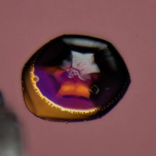 Macro photograph of a small plate shaped snow crystal with thin film interference colours reflecting from its surface.