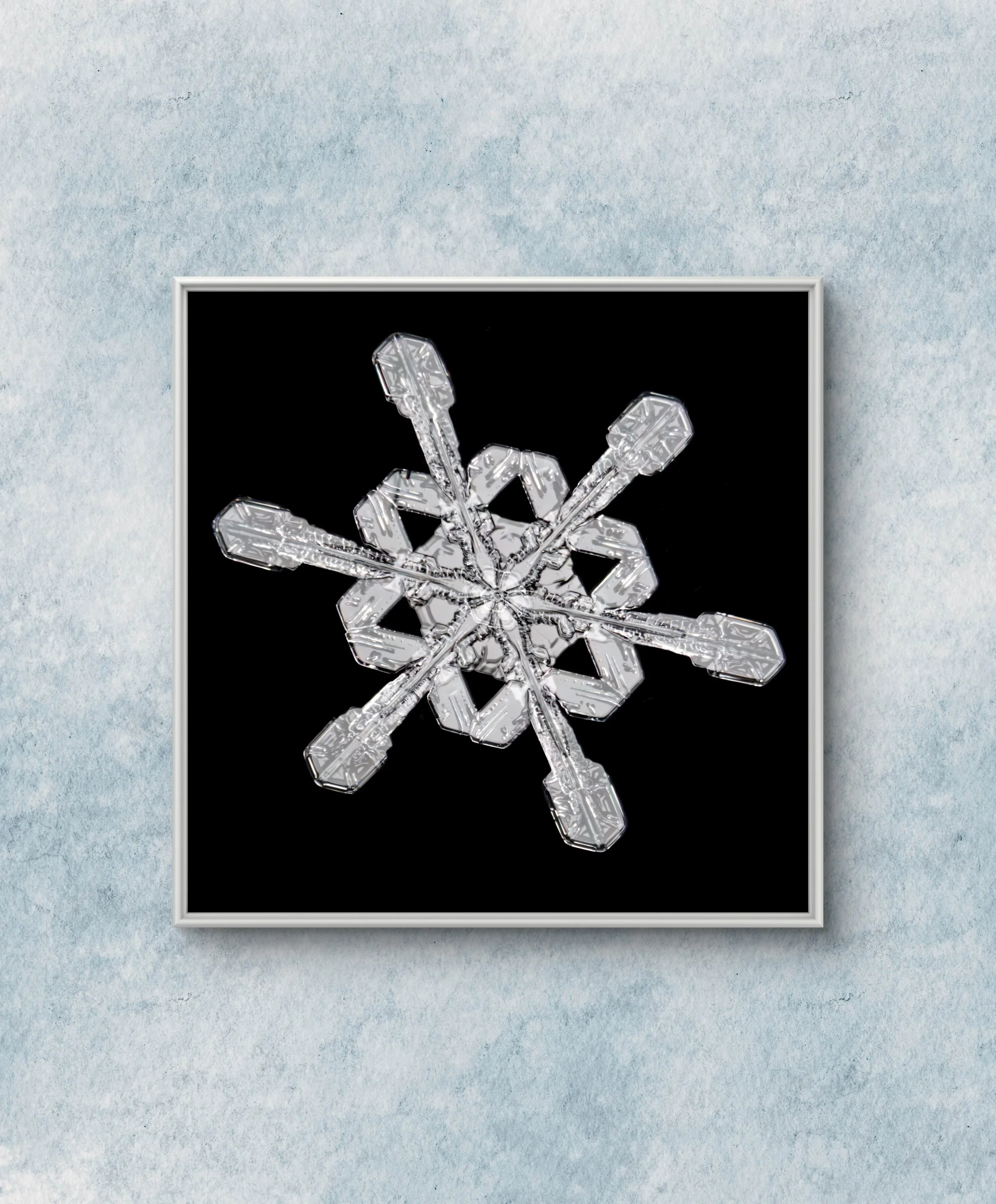 Highly detailed symmetrical snowflake showing classic hexagonal structure and sharp definition.