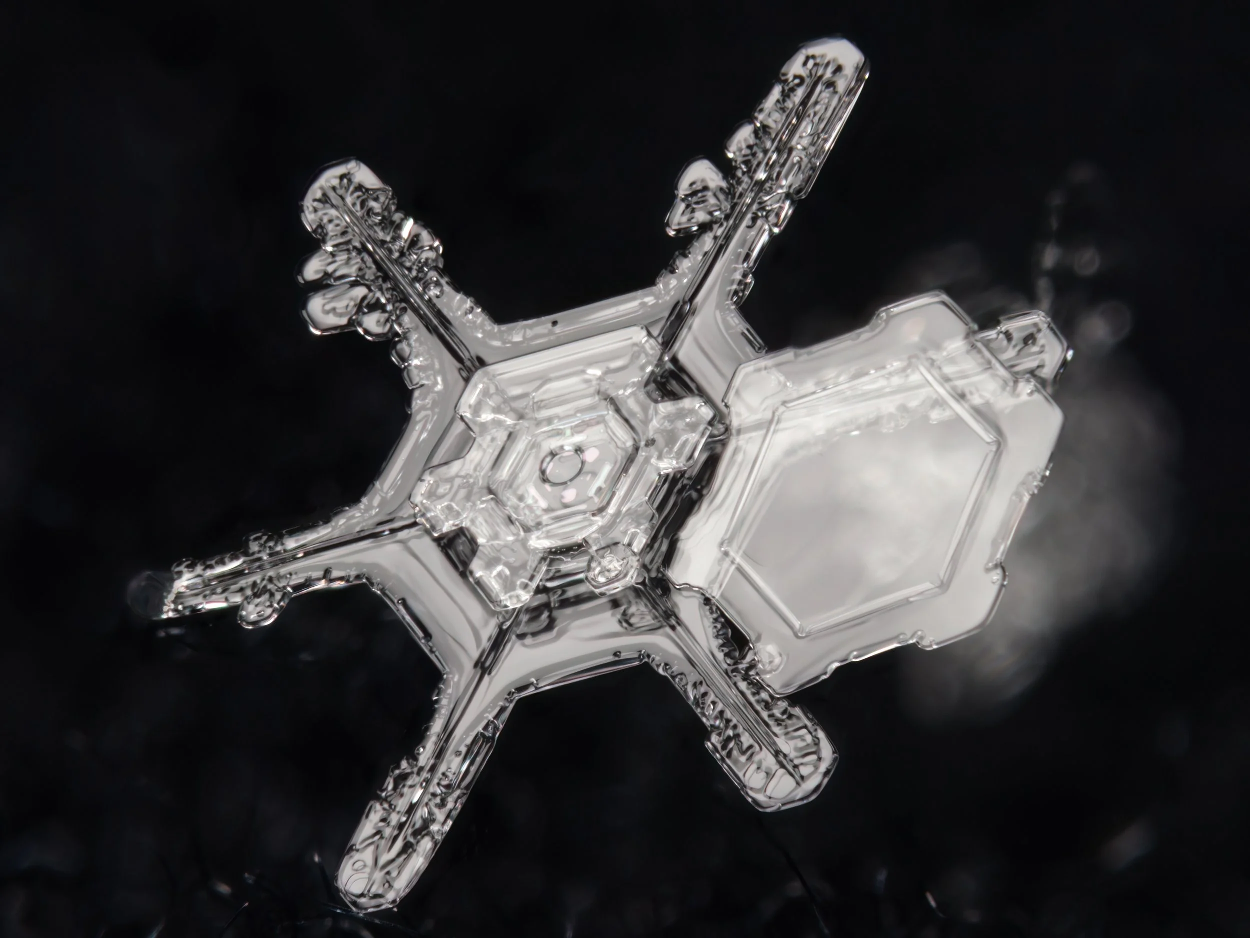 A macro photograph of two snow crystals attached to each other, one larger than the other.
