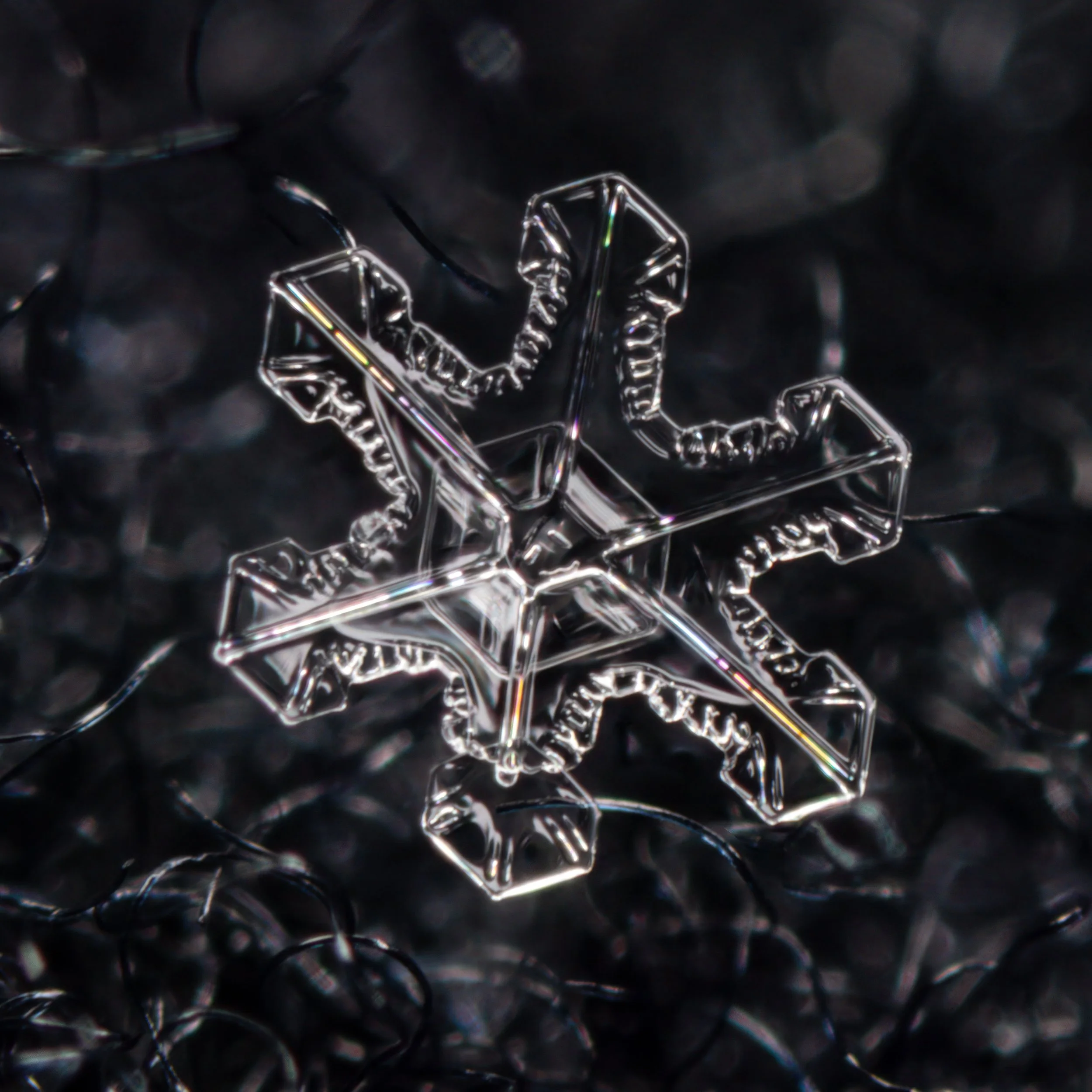 Macro photograph of a transparent stellar dendrite snowflake with intricate colours and details.