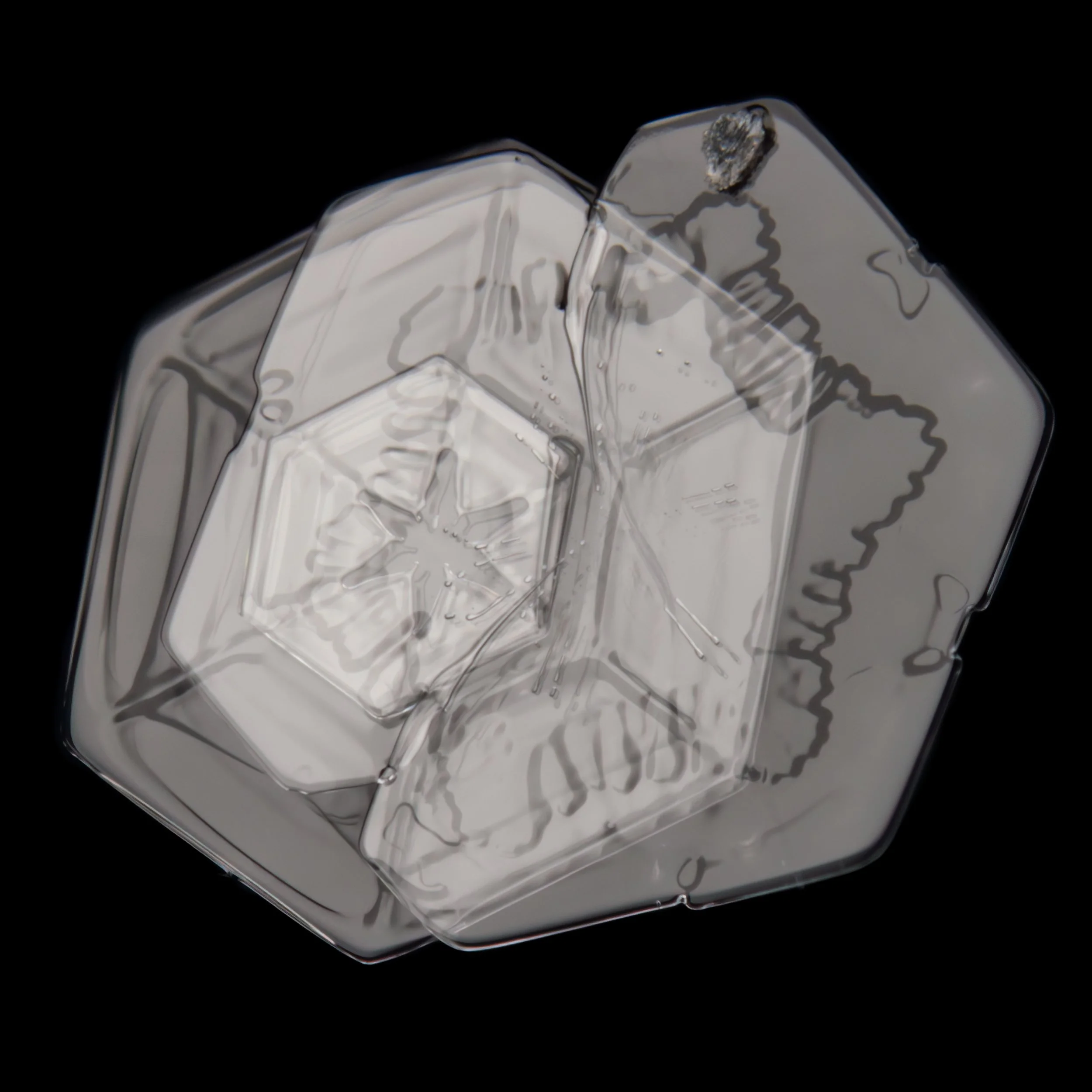 A macro photograph of two snow crystals overlapping each other, with patterns of both clearly visible.