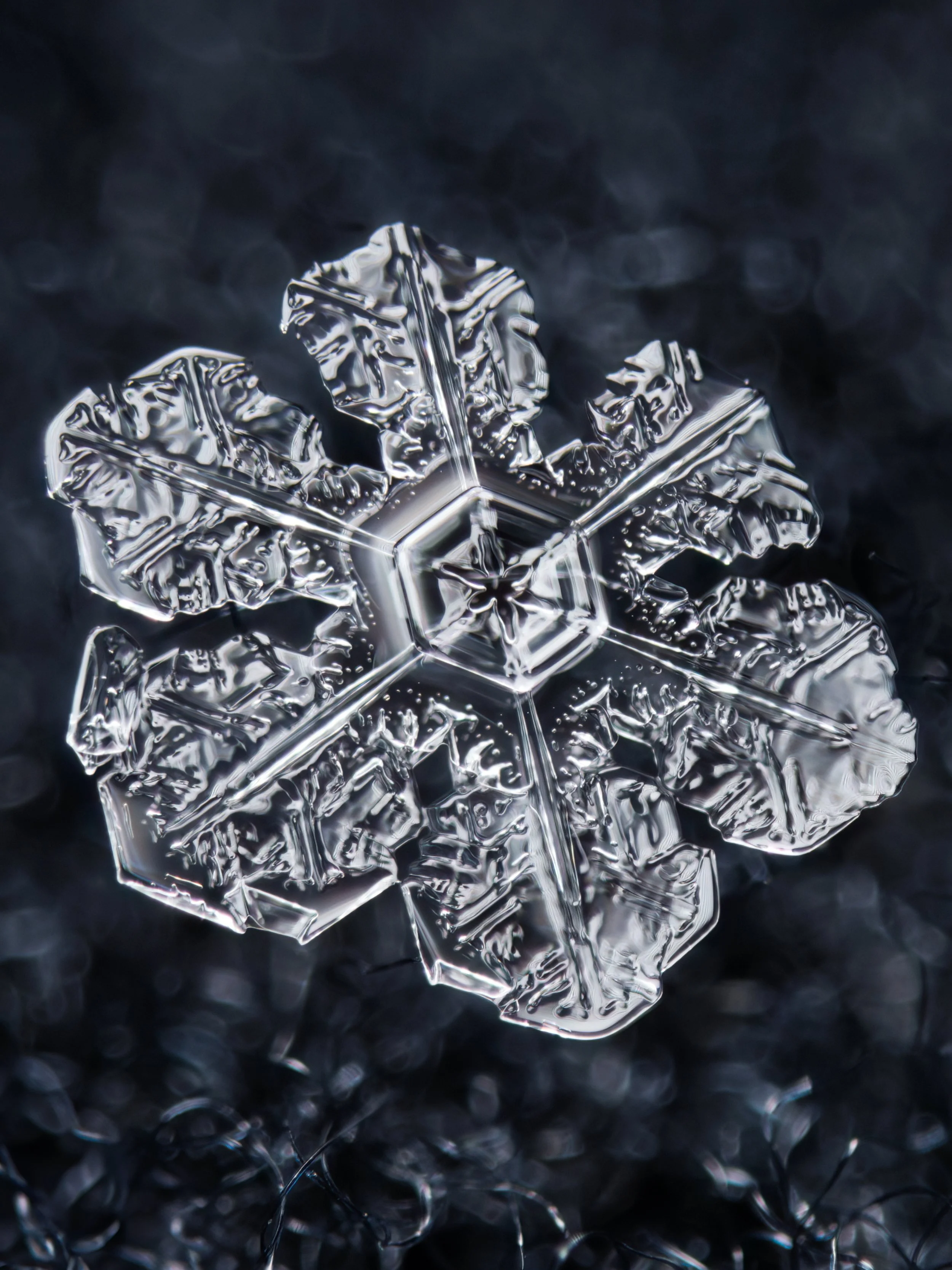 Macro photograph of a sectored plate snowflake with intricate crystal patterns.
