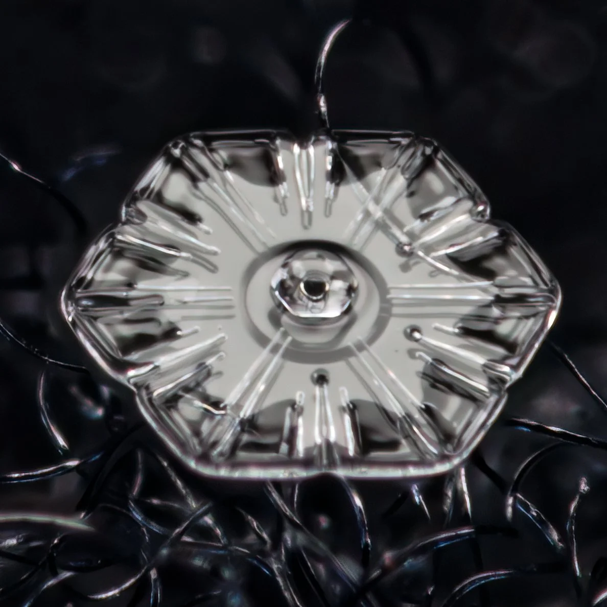 Macro photograph view of a clear glassy plate-shaped snowflake, placed on a reflective black surface surrounded by black string decorations.