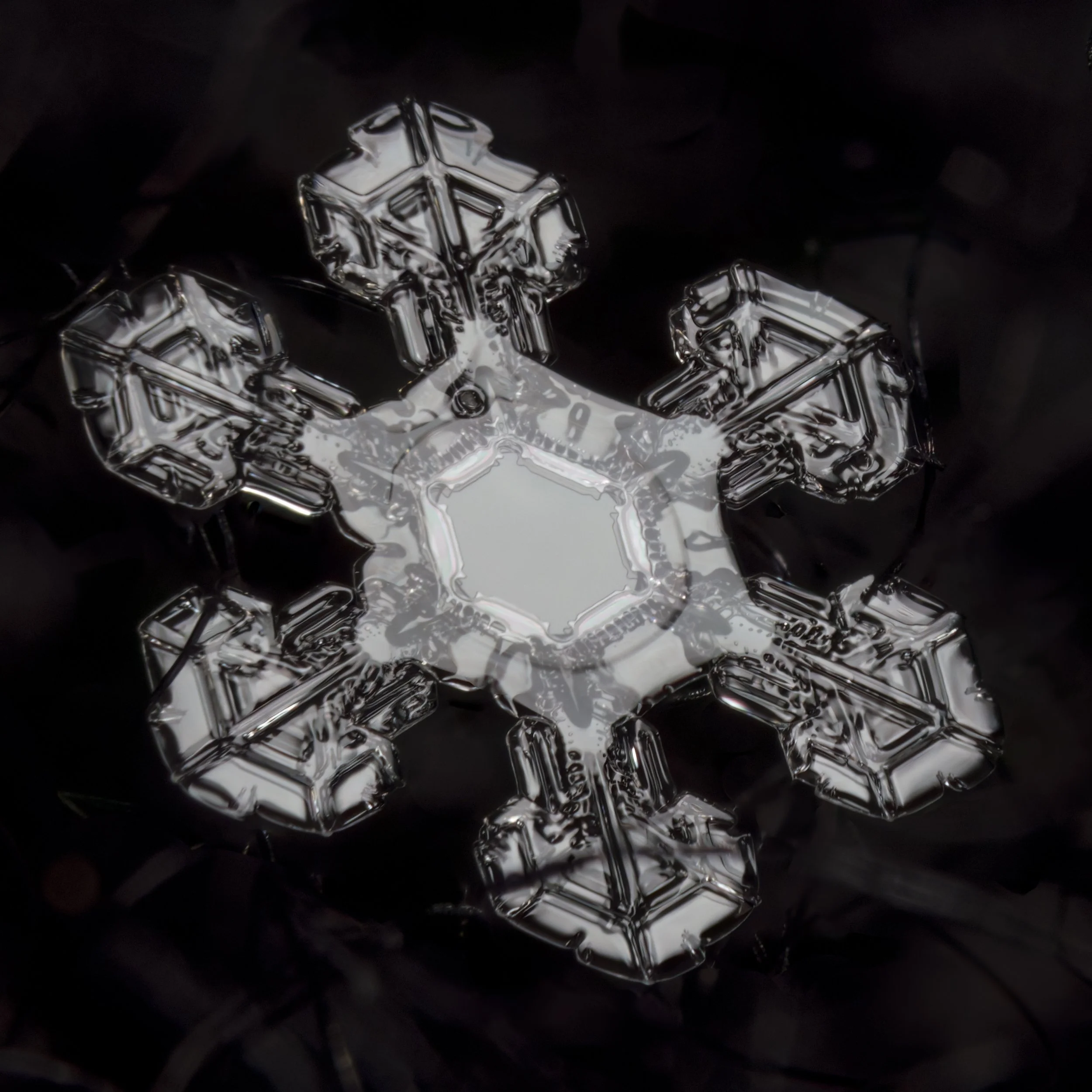 Macro photograph of a sectored plate snowflake with intricate hexagonal patterns.
