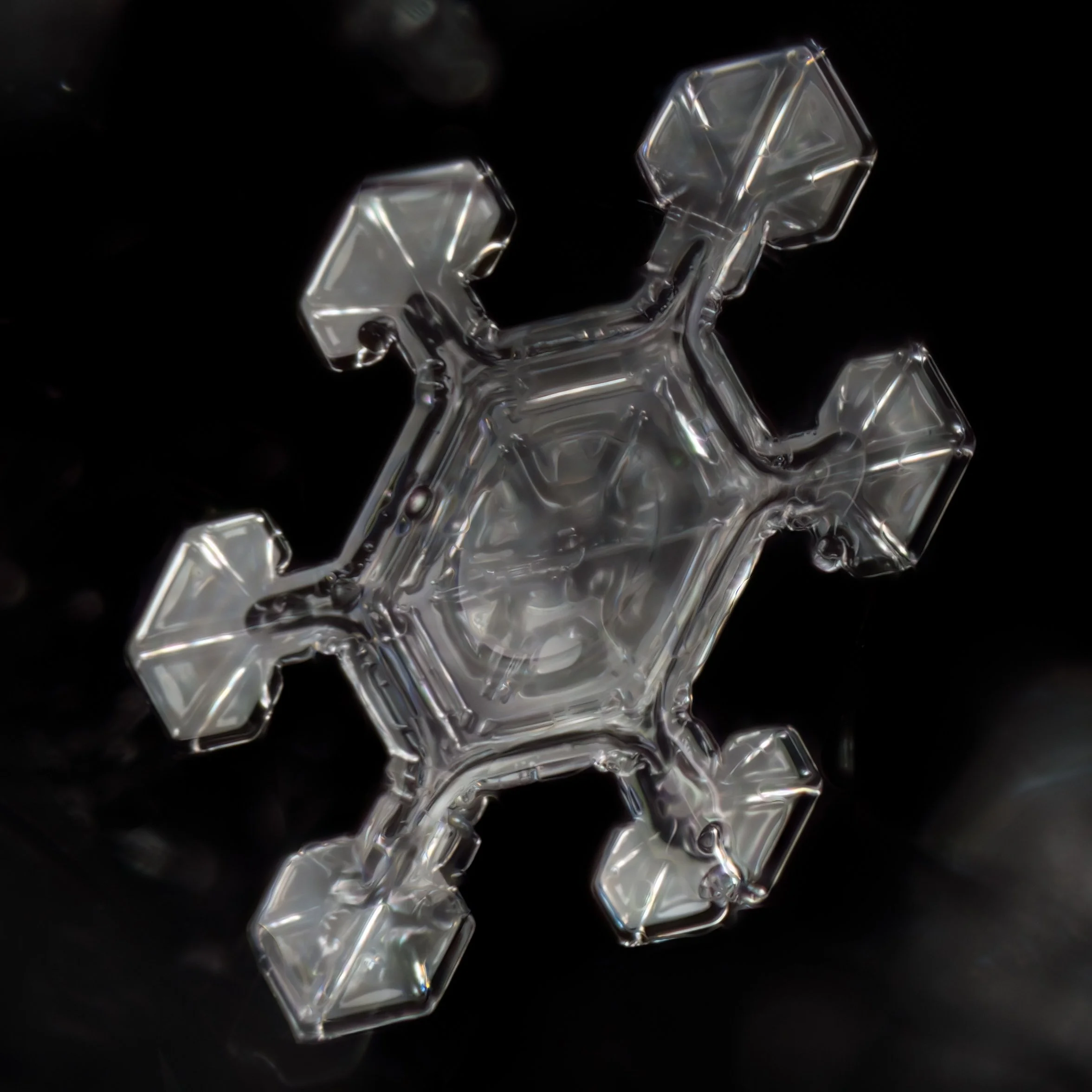 Macro photograph of a transparent sectored plate snowflake with intricate hexagonal structure.