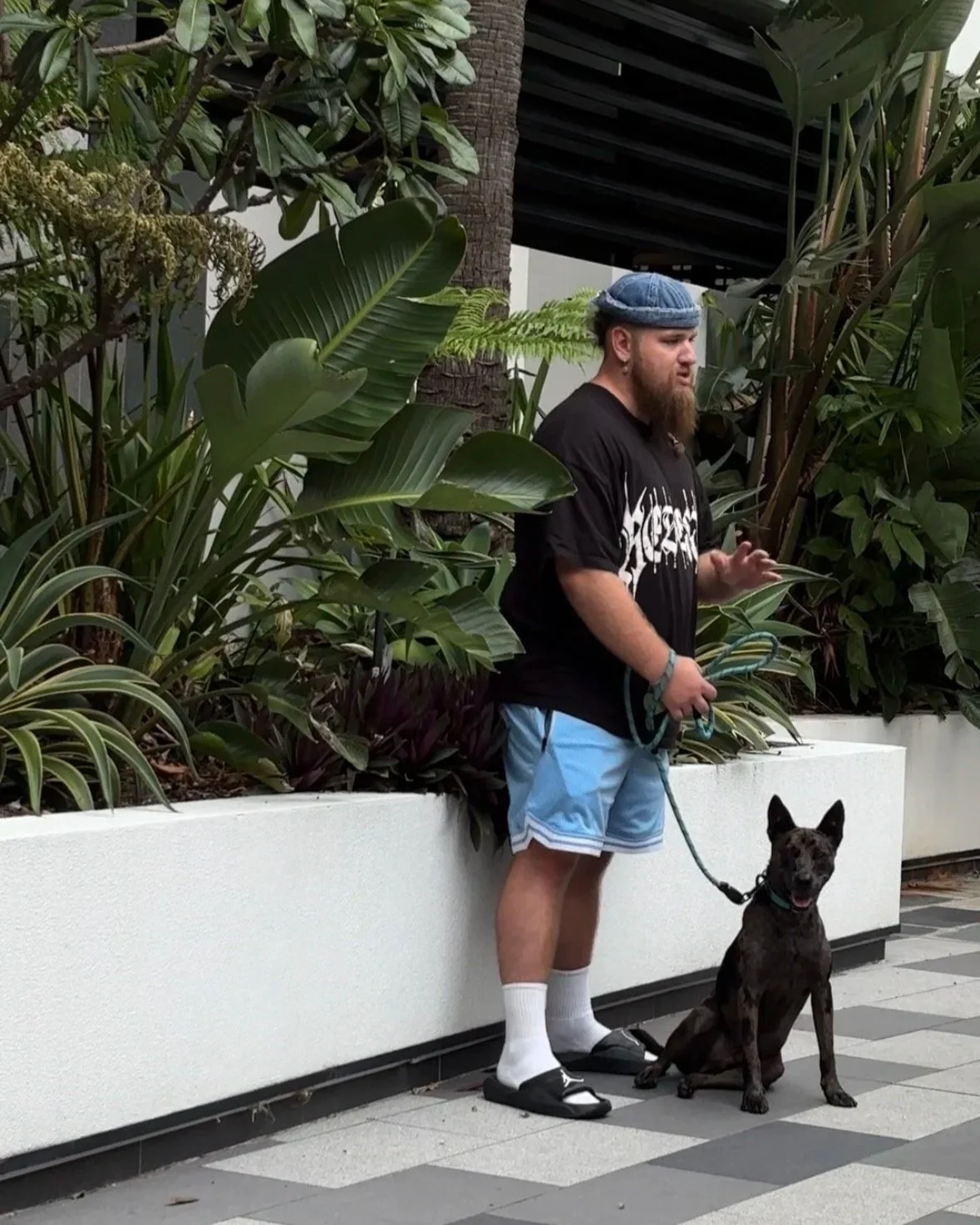 A man with a beard, wearing a black T-shirt, light blue shorts, white socks, sandals, and a denim cap, standing next to a black and brindle dog on a leash in an outdoor garden area with lush green plants and a white wall.